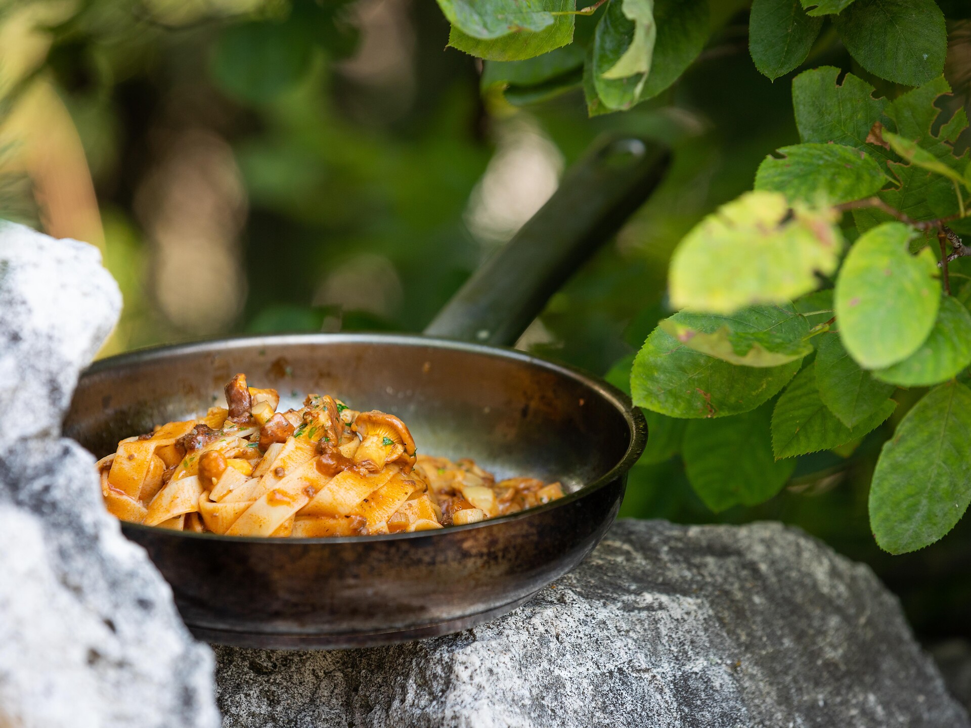 WILD & WALD Genusswochen im Eggental Welschnofen 2 suedtirol.info