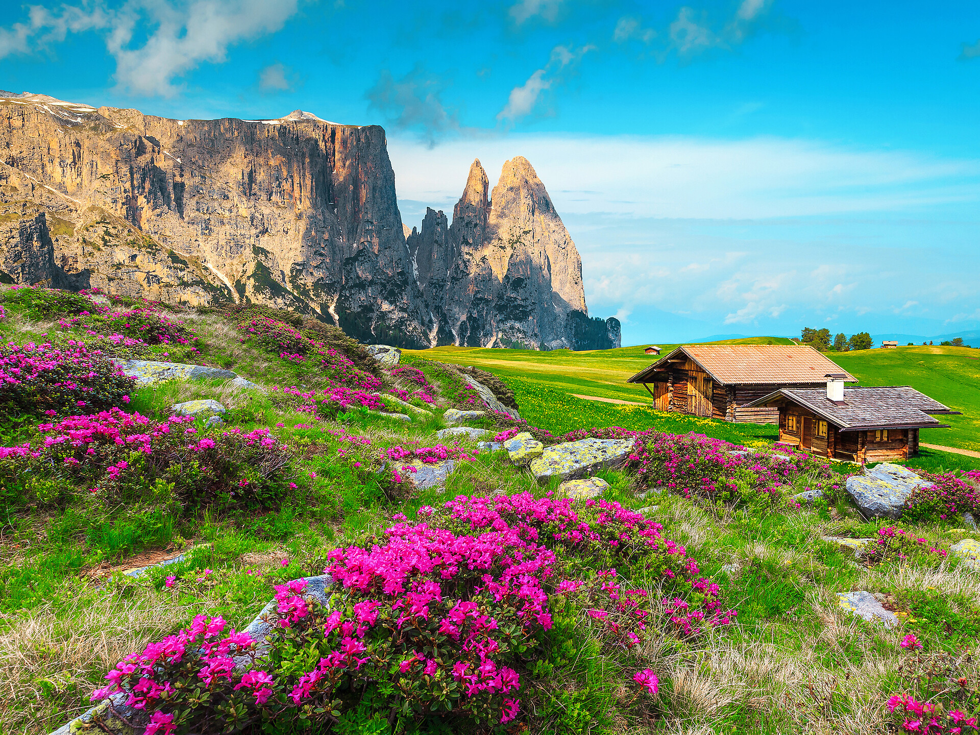Hike on Europe‘s Largest Plateau Seiser Alm Sëlva/Selva 2 suedtirol.info