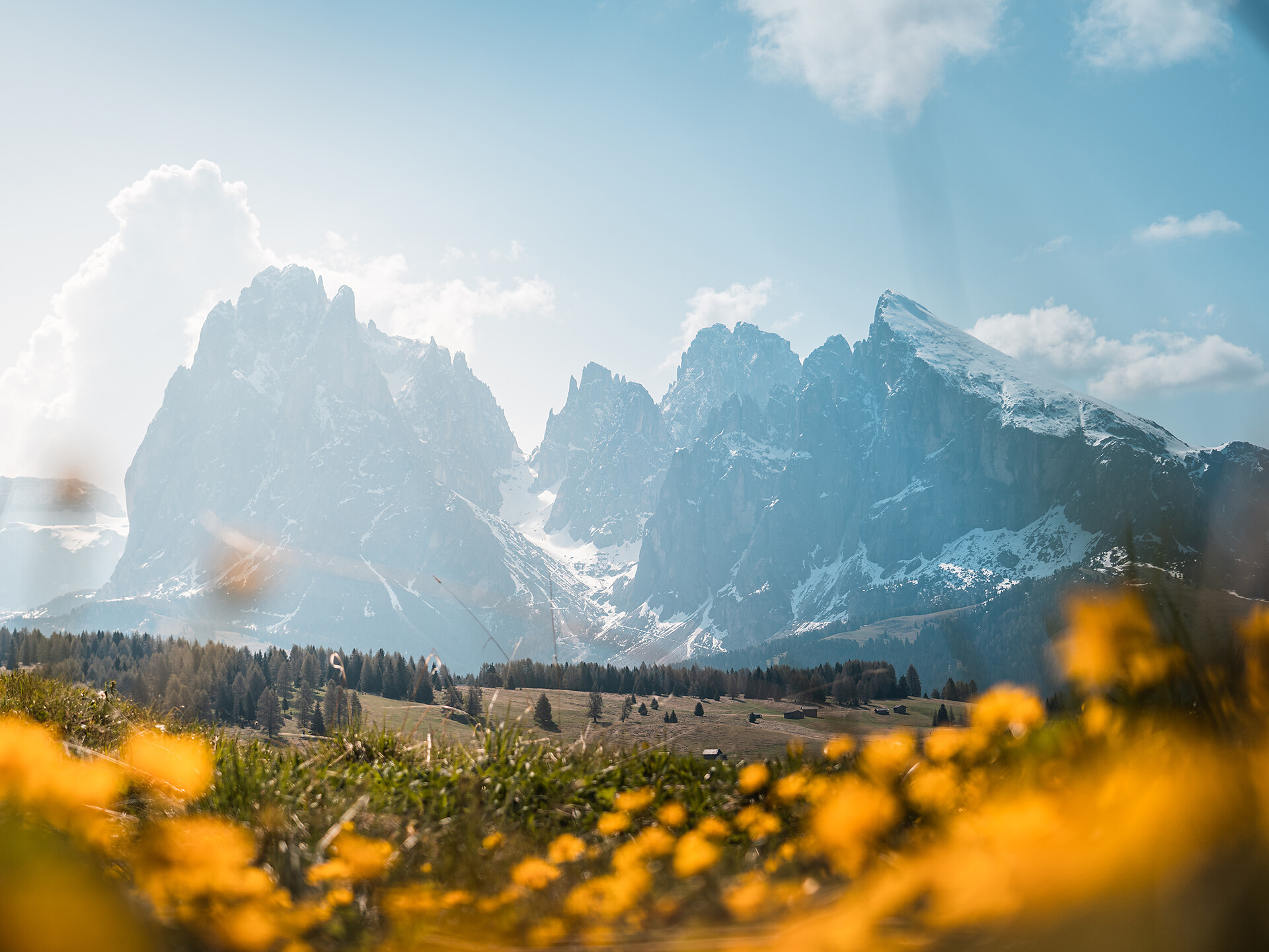 Wanderung auf dem Hochplateau Seiser Alm Wolkenstein 2 suedtirol.info