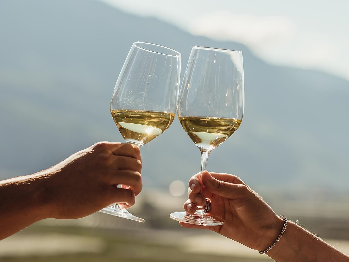 Wein- & Käseverkostung in der Kellerei Meran in Marling - Meran und Umgebung - #2 - suedtirol.info