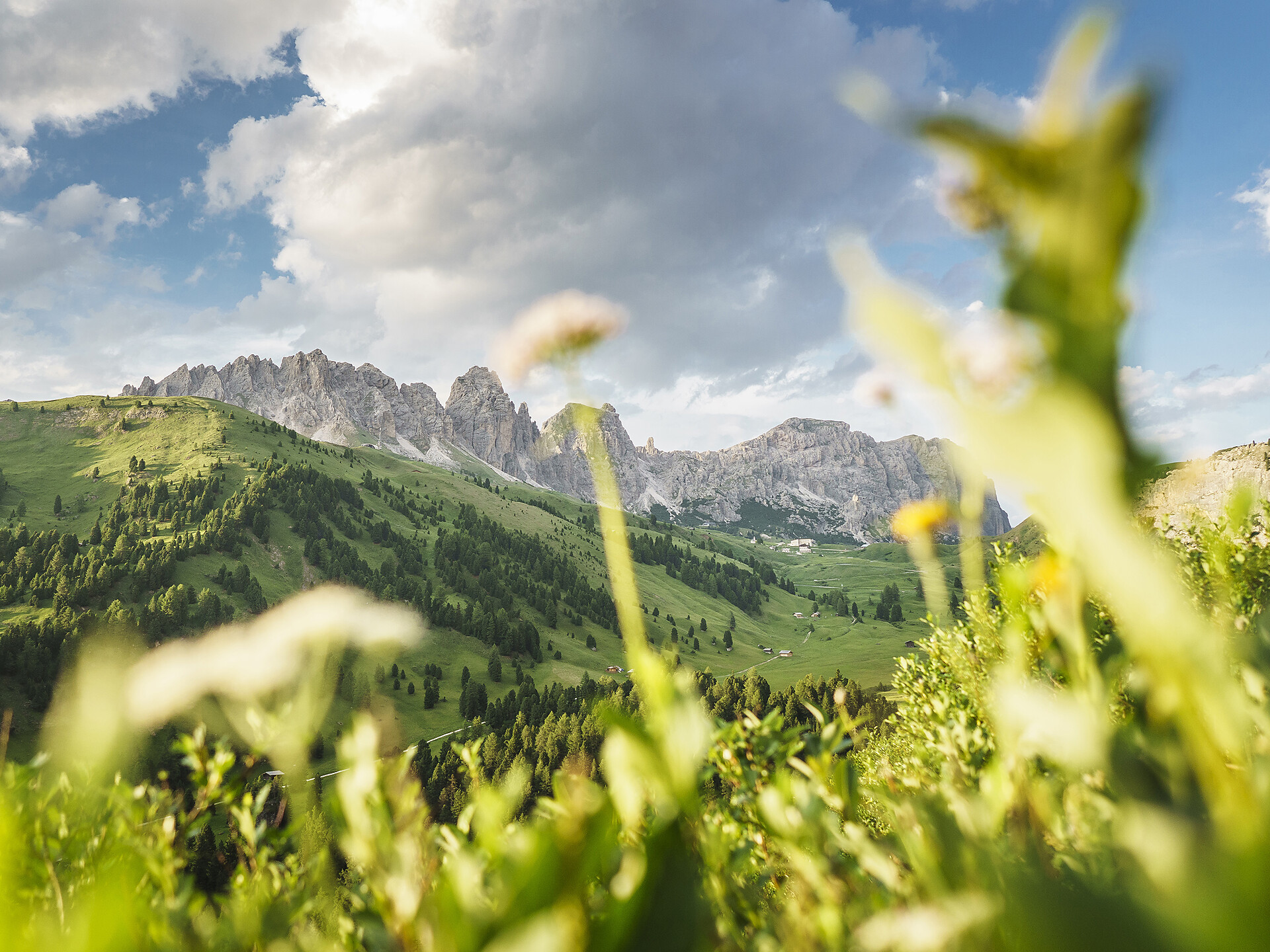 Escursione nella Valle Stella Alpina nel Parco naturale Puez-Odle Selva 3 suedtirol.info