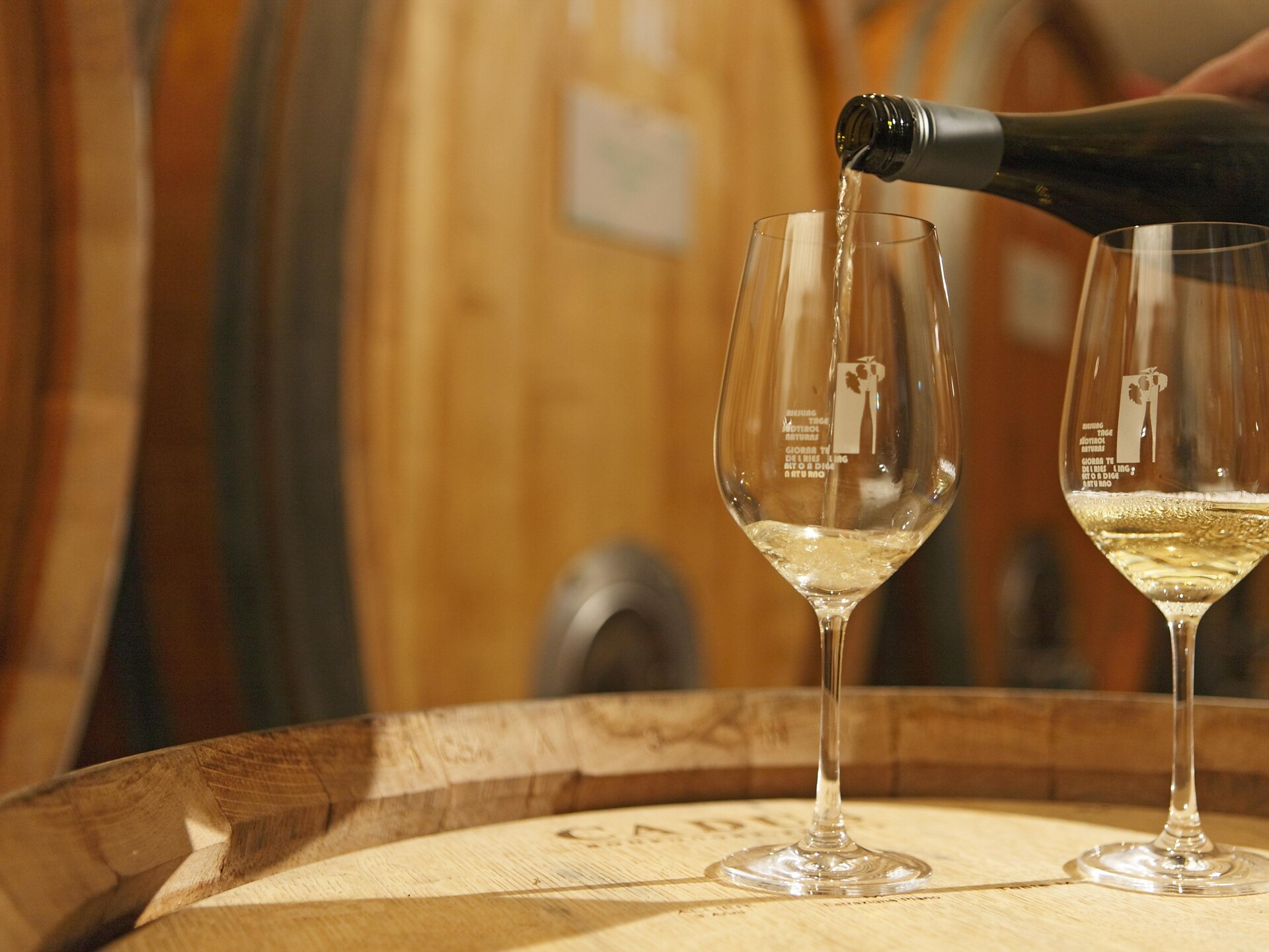 Degustazione vini presso Hännsl am Ort - Merano e dintorni - #1 - suedtirol.info