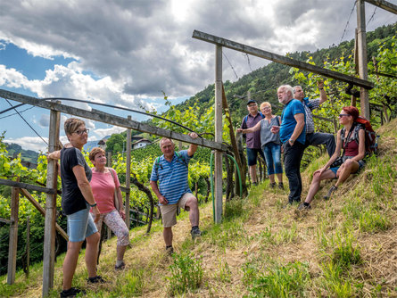 Walk & Wine - Geführte Weinwanderung auf dem Laitacher Weinwanderweg Klausen 1 suedtirol.info