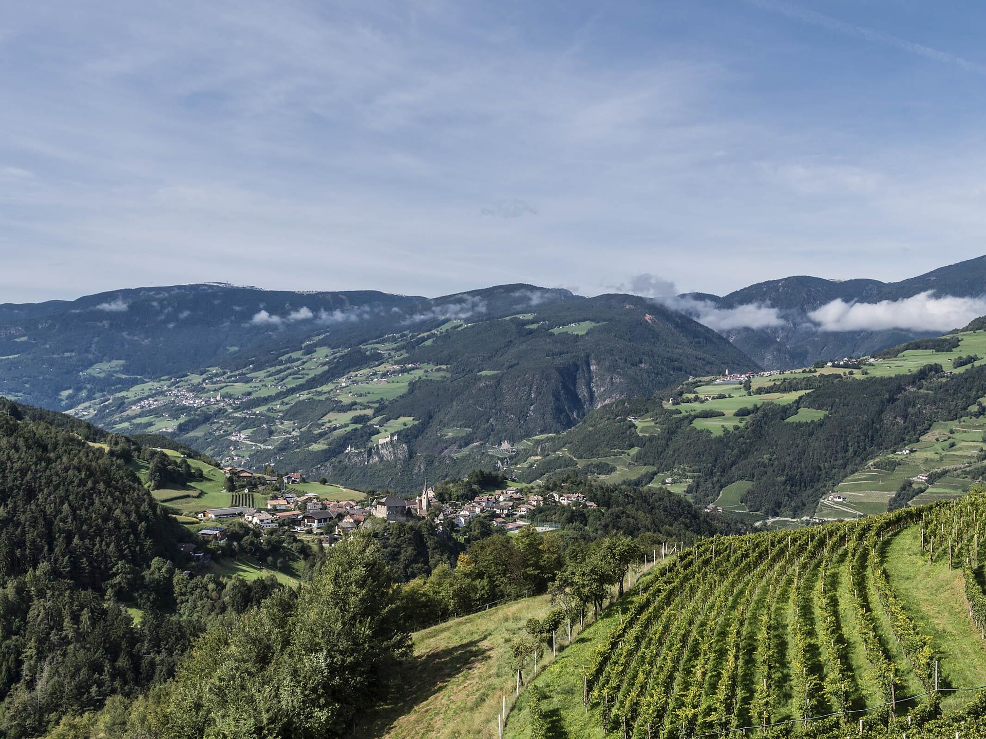 Walk & Wine - guided walk with wine tasting Klausen/Chiusa 3 suedtirol.info