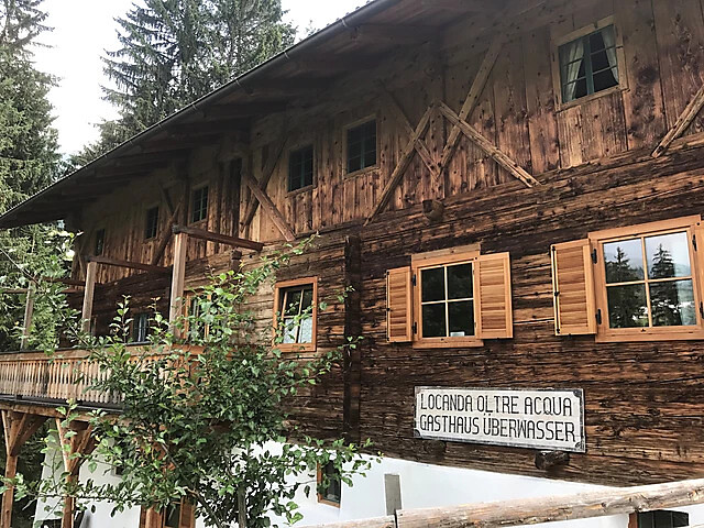 Wald-Wiese-Wasser-Entdeckungsreise mit dem keltischen Baumhoroskop - Meran und Umgebung - #1 - suedtirol.info