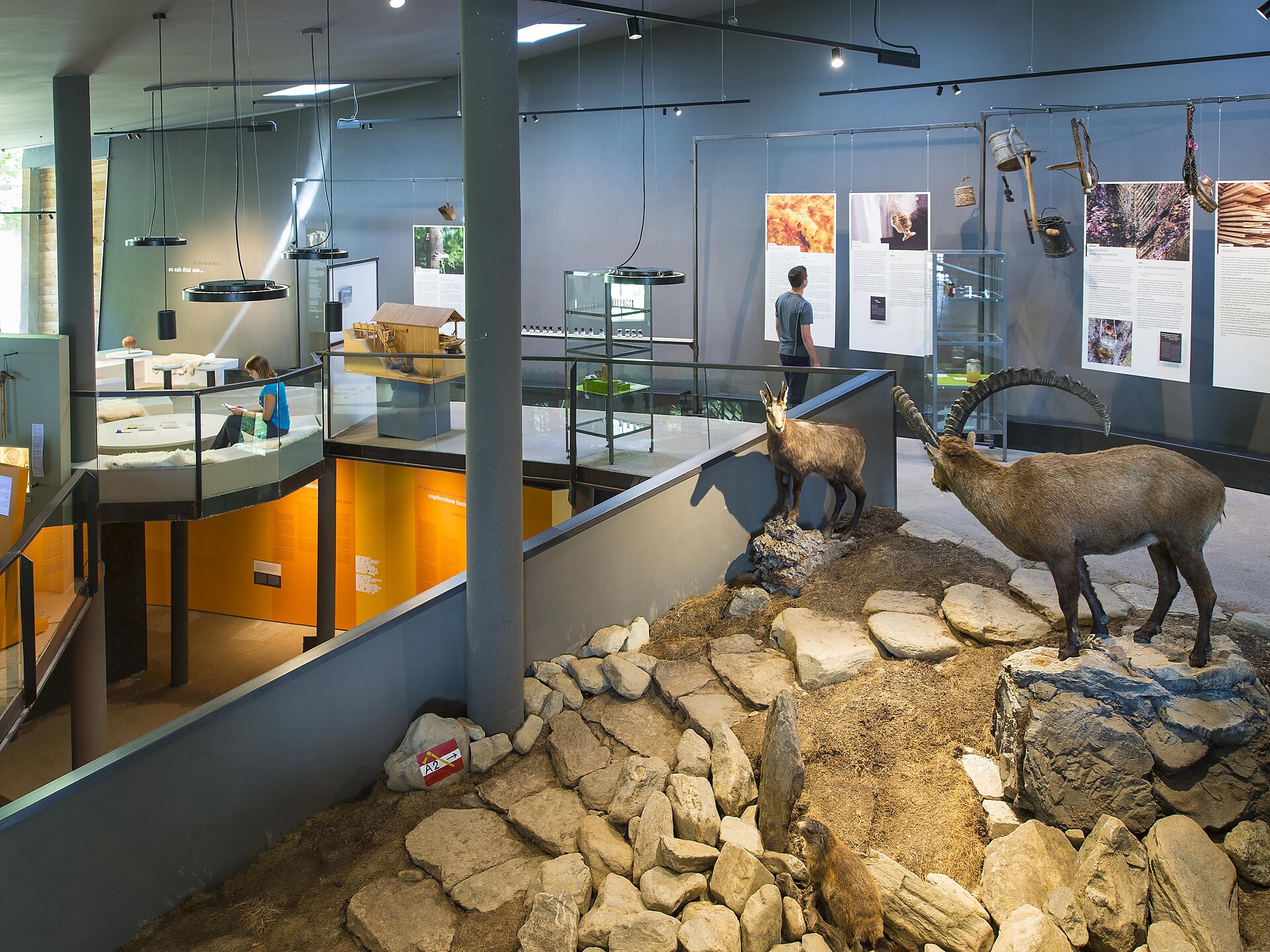 Wege aus Gras und Fels - Sonderausstellung im campus transhumanza Schnalstal - Vinschgau - #1 - suedtirol.info