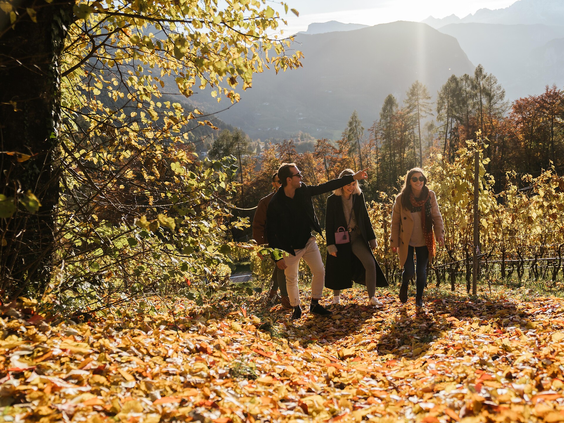 Escursione tra vigneti e castagneti a Pochi presso Salorno - Strada del Vino - #1 - suedtirol.info