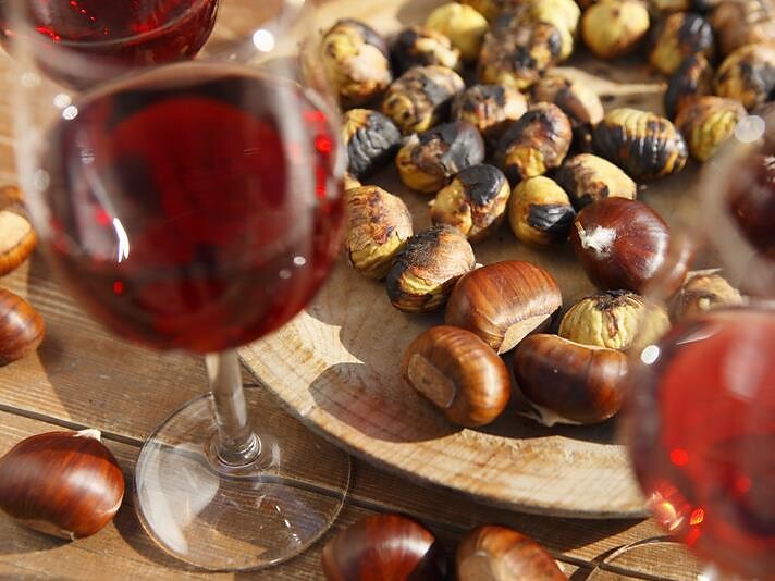 Escursione tra vigneti e castagneti a Pochi presso Salorno - Strada del Vino - #2 - suedtirol.info