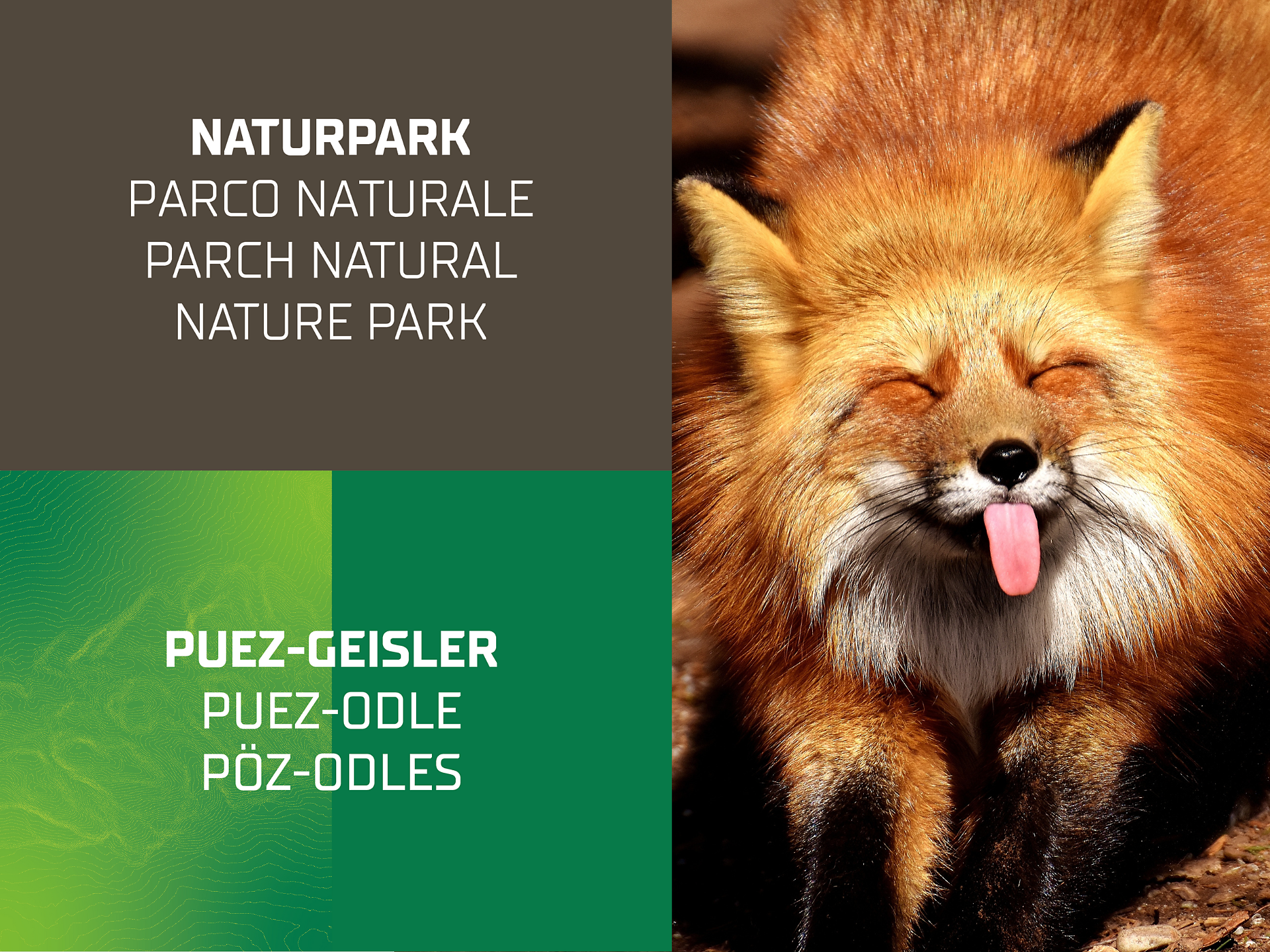 Forest Safari with the Kids | Family Hike - Dolomites Region Kronplatz/Plan de Corones - #1 - suedtirol.info