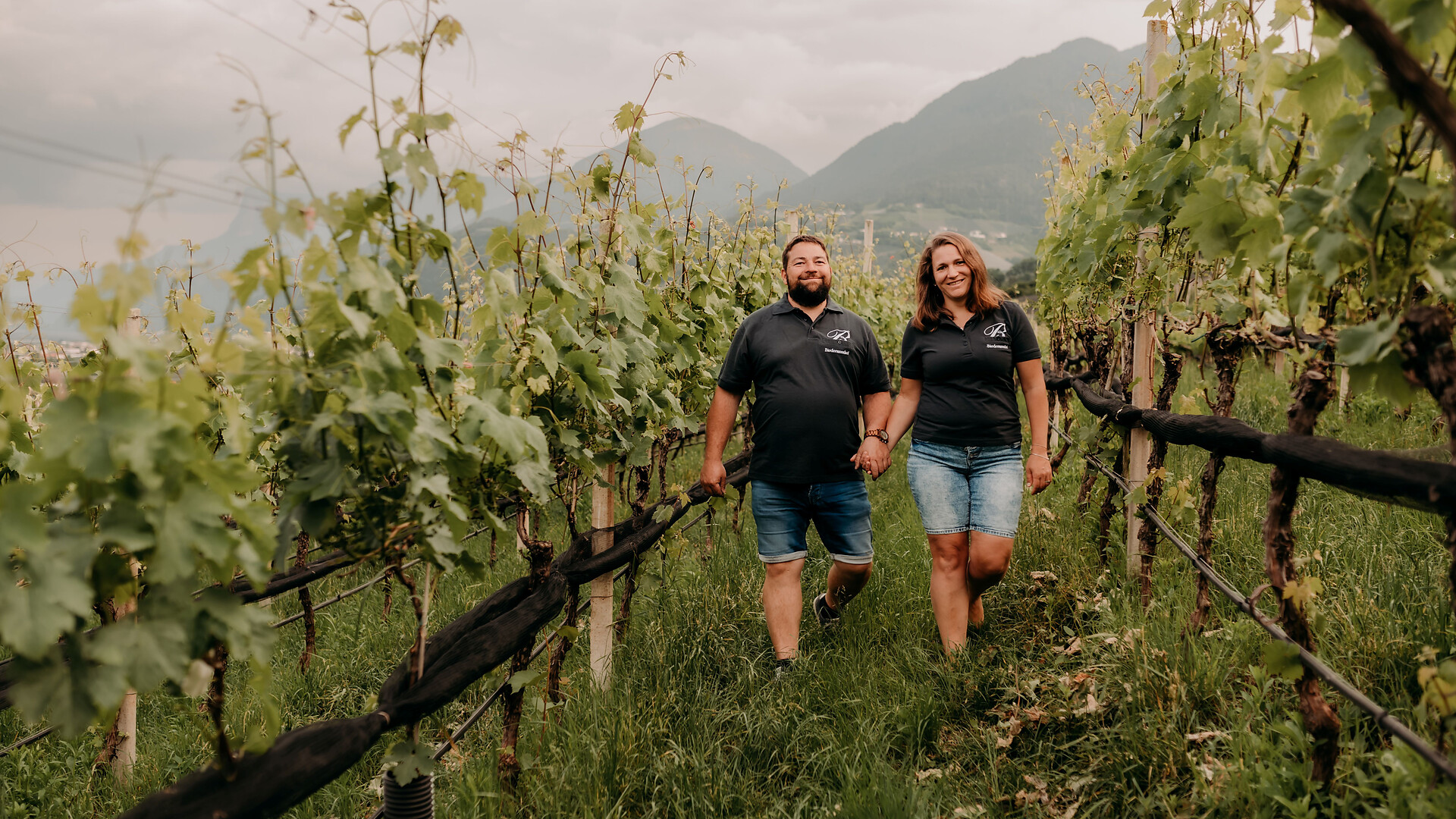 Visita guidata con degustazione e storia al Biedermannhof - Merano e dintorni - #2 - suedtirol.info