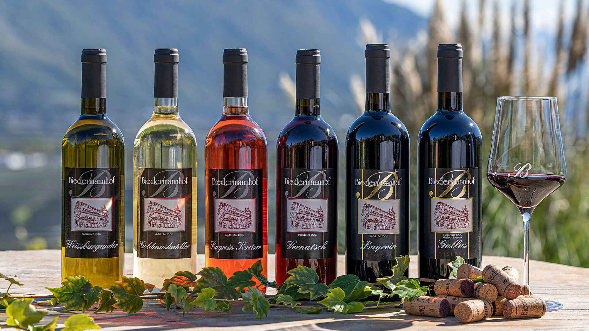 Visita guidata con degustazione e storia al Biedermannhof - Merano e dintorni - #1 - suedtirol.info