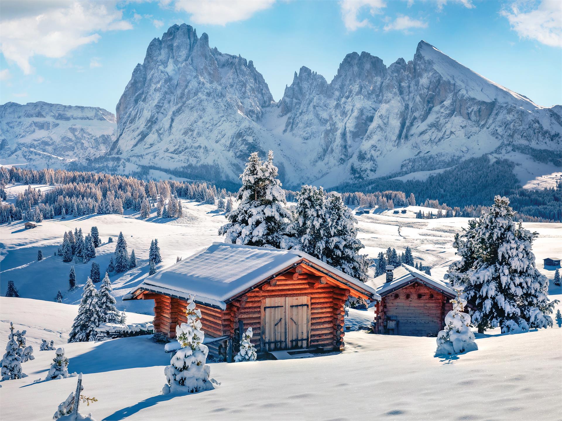 Winter Hike on the Seiser Alm Sëlva/Selva 1 suedtirol.info