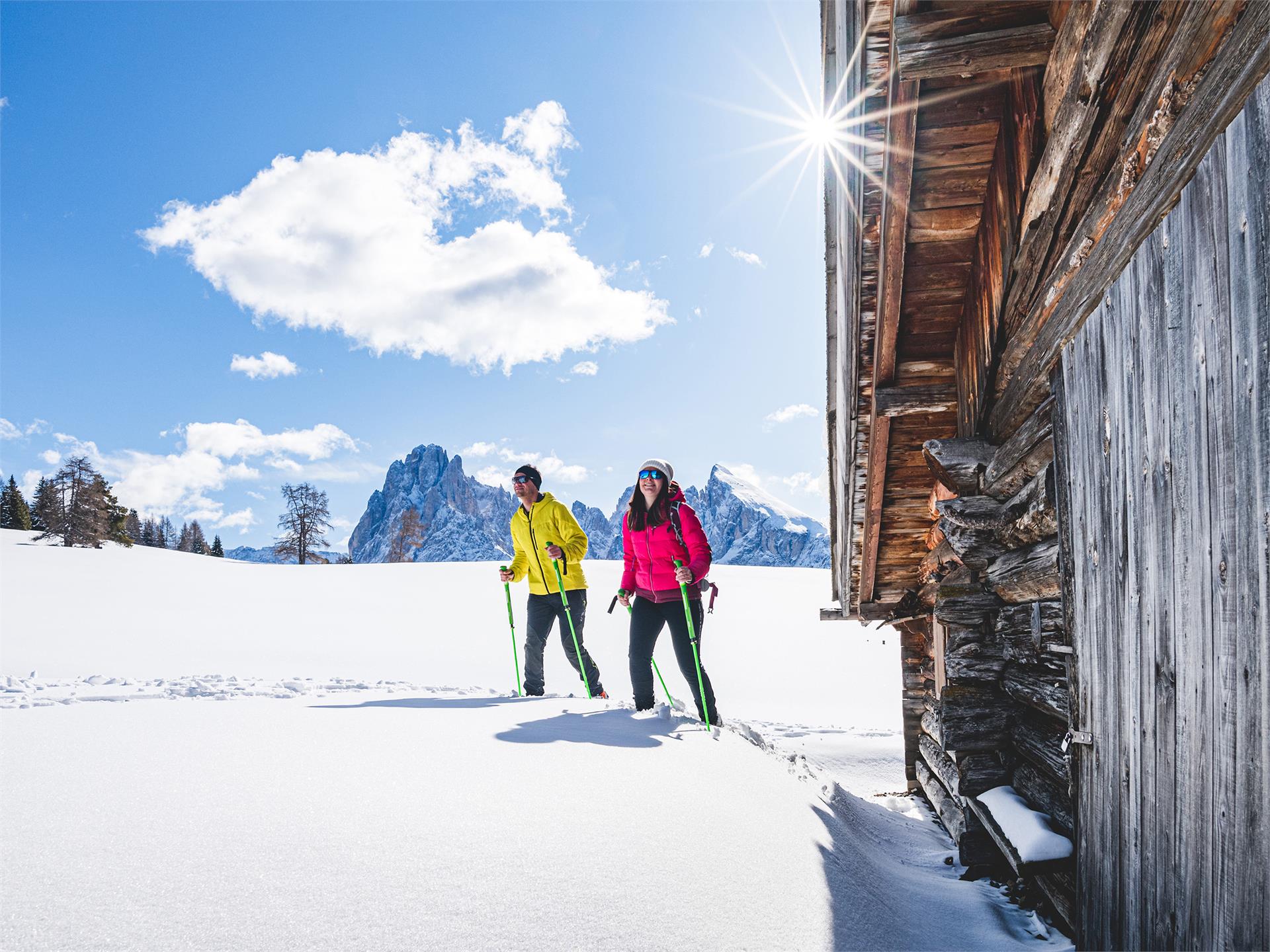 Winter Hike on the Seiser Alm Sëlva/Selva 3 suedtirol.info
