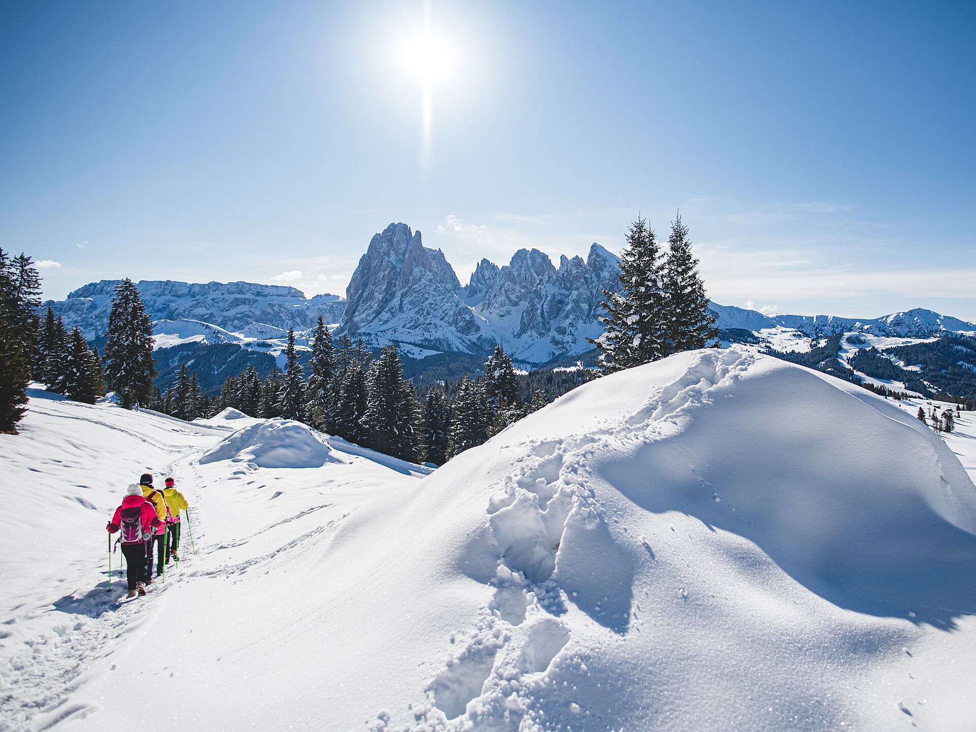 Escursione invernale sull'Alpe di Siusi - Regione dolomitica Val Gardena - #2 - suedtirol.info