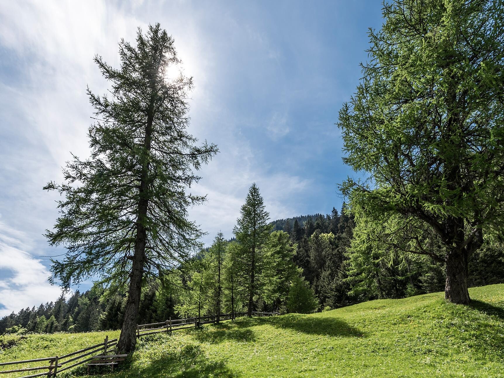 Escursione guidata dal Passo Palade con l'accompagnatrice Sara Penasa - Merano e dintorni - #2 - suedtirol.info