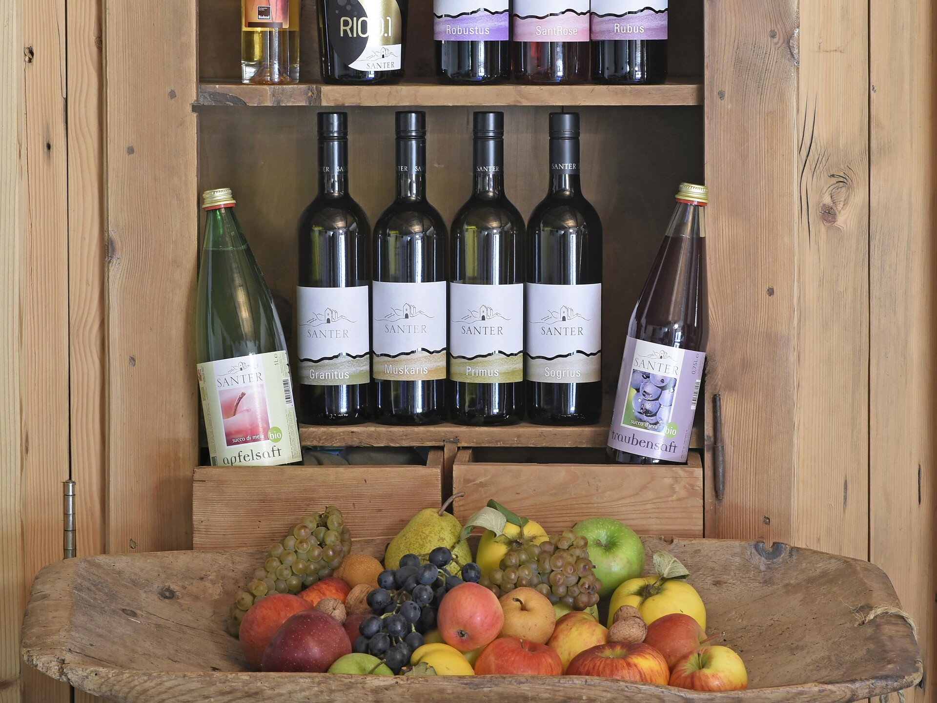 Weinbergführung mit Weinverkostung "Alte Burg und neuer Wein" - Brixen und Umgebung - #2 - suedtirol.info