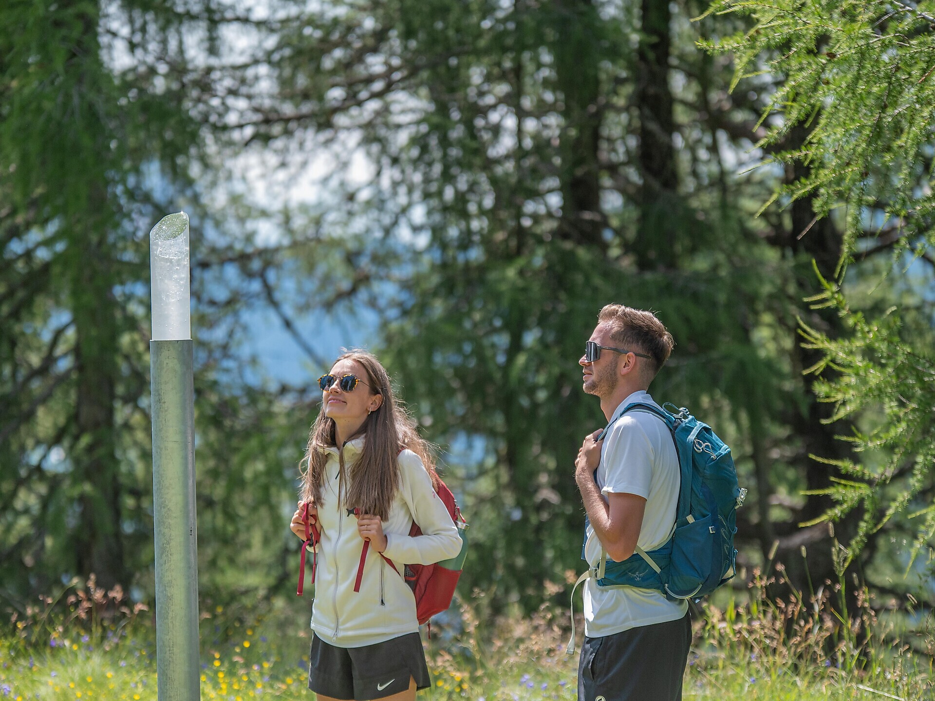 Hike along the Via Artis - Dolomites Region Kronplatz/Plan de Corones - #3 - suedtirol.info