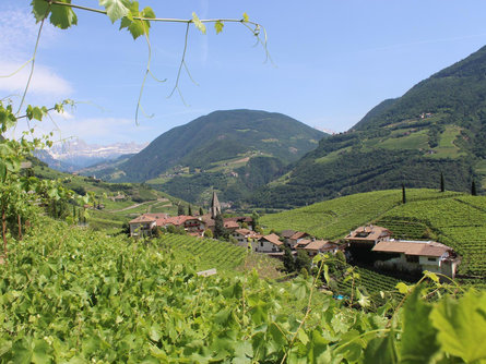 Weekly oenology programme – Eberlehof winery Bolzano/Bozen 1 suedtirol.info