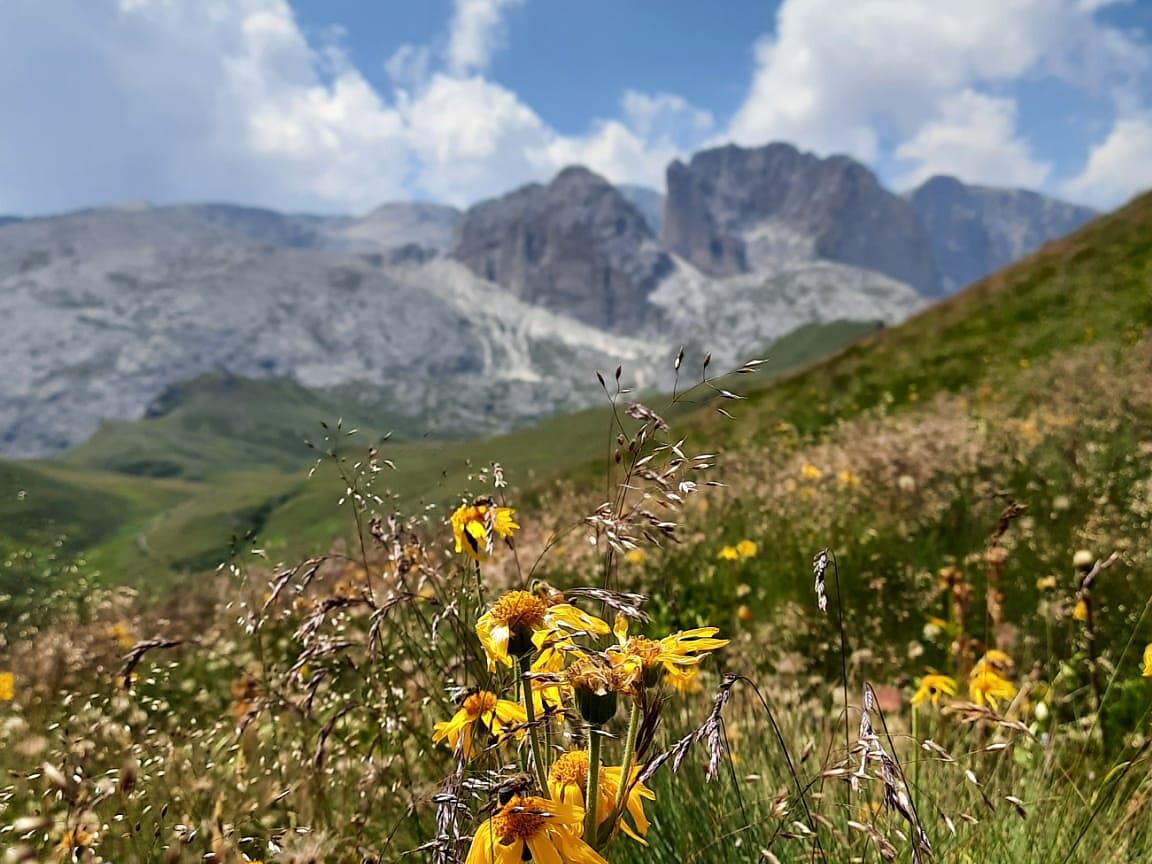 Escursione guidata al Catinaccio - Merano e dintorni - #2 - suedtirol.info