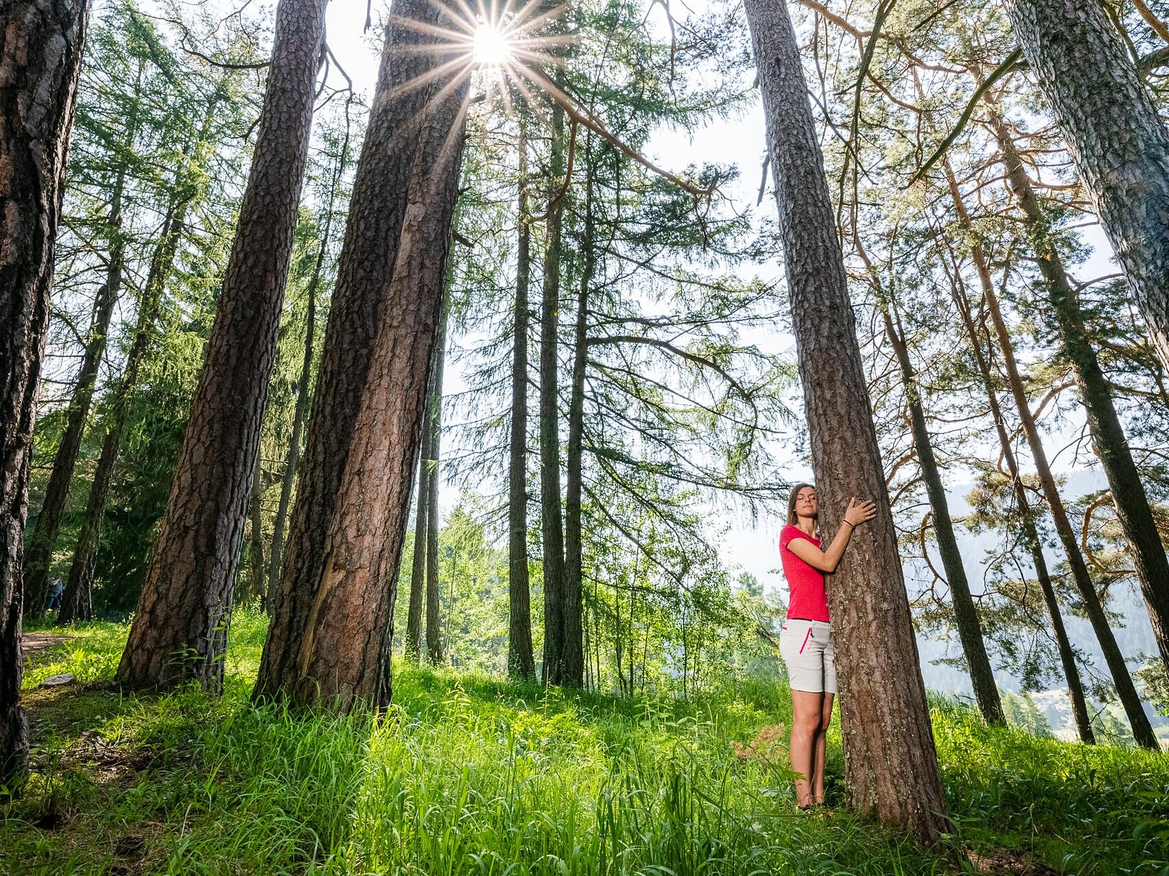 Wood Emotion - l’energia del bosco Ortisei 2 suedtirol.info