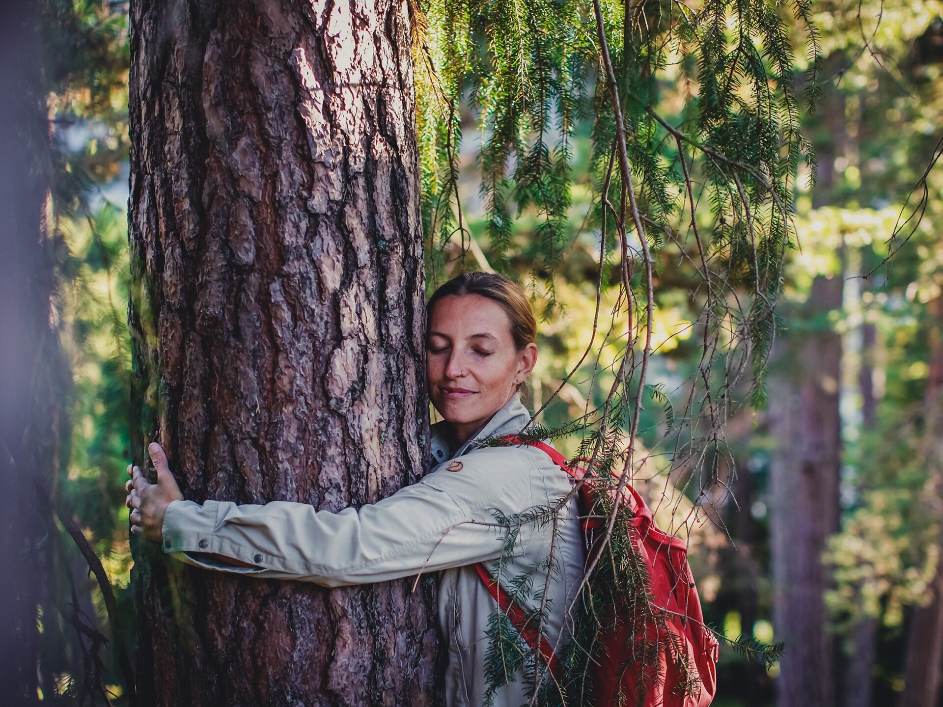Wood Emotion - l’energia del bosco Ortisei 1 suedtirol.info