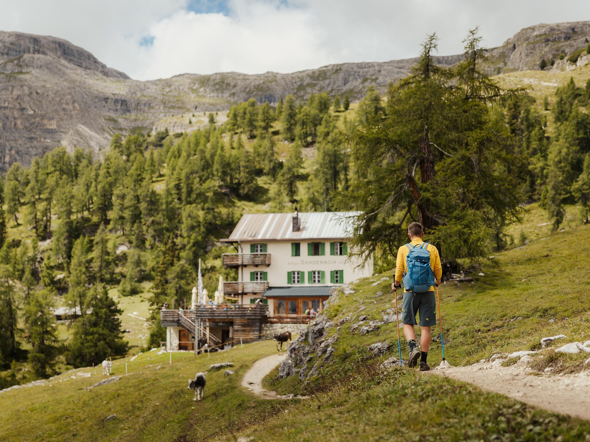 Hike to the Col Plö Alt in the Puez-Odle Nature Park - Dolomites Region Alta Badia - #3 - suedtirol.info