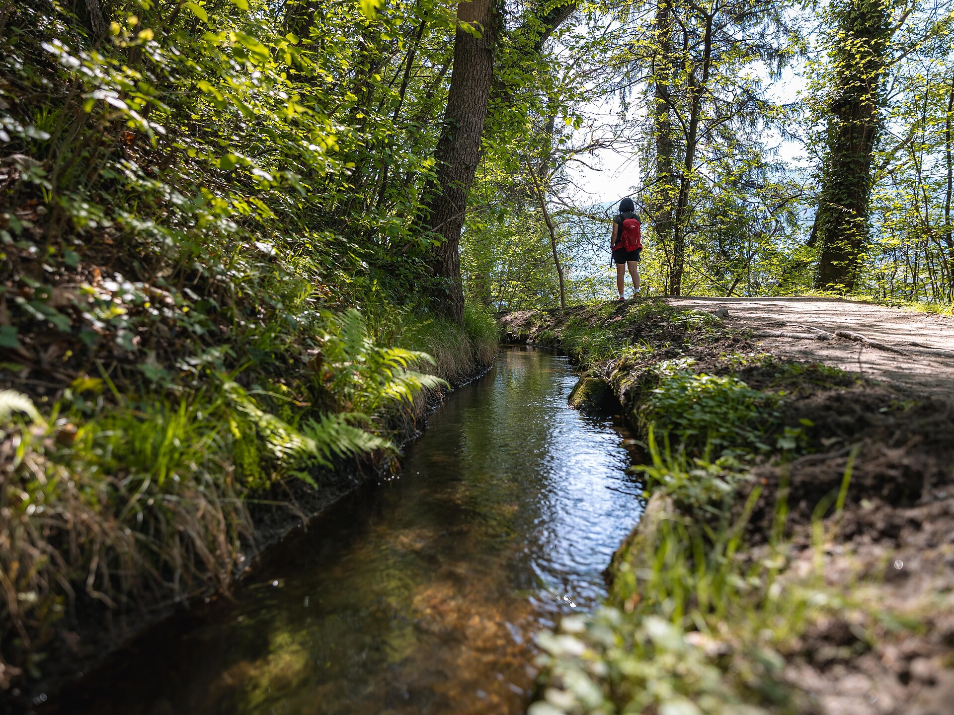 Escursione guidata tra vigne e natura - Merano e dintorni - #2 - suedtirol.info