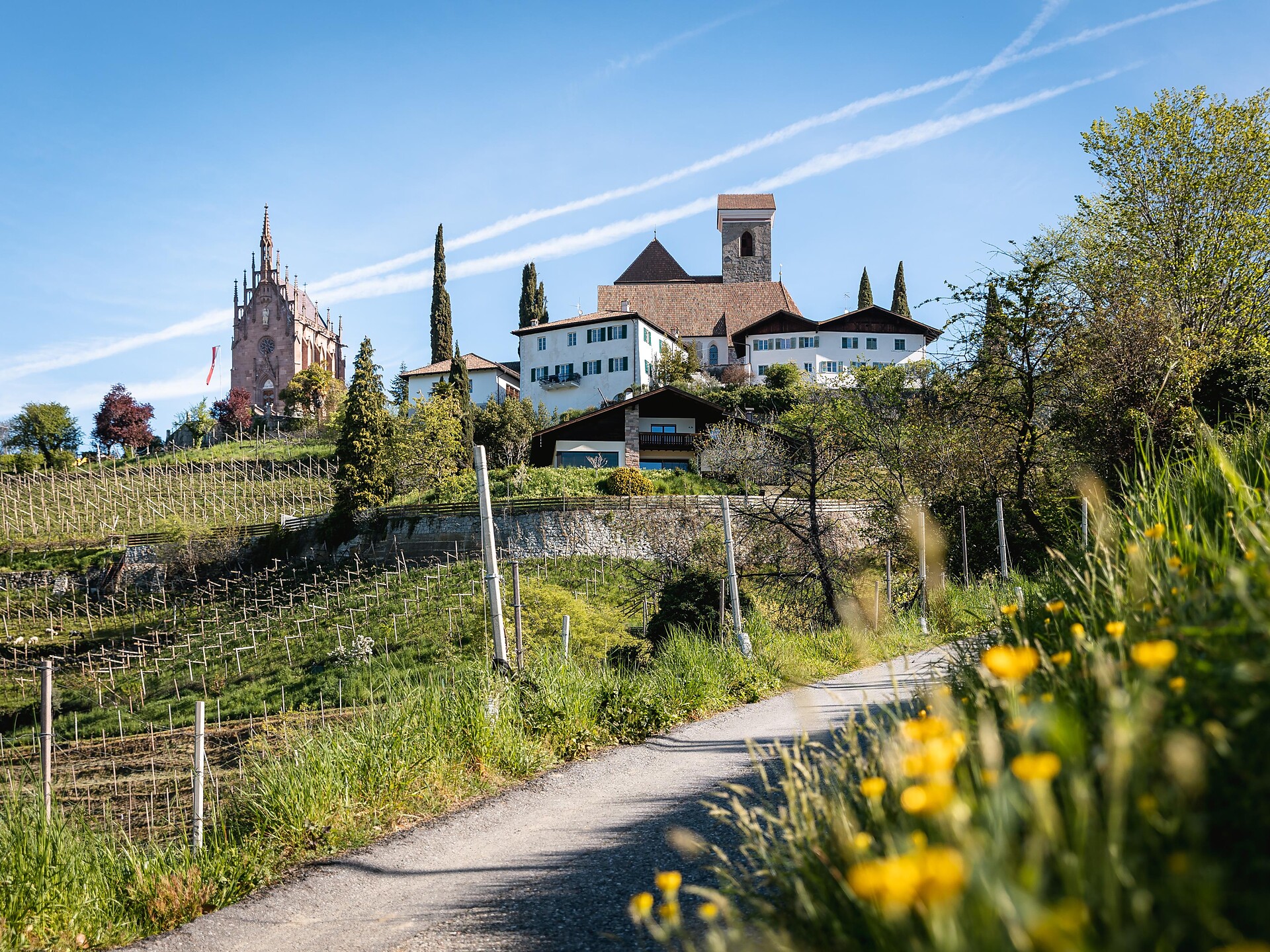 Escursione guidata tra vigne e natura - Merano e dintorni - #1 - suedtirol.info