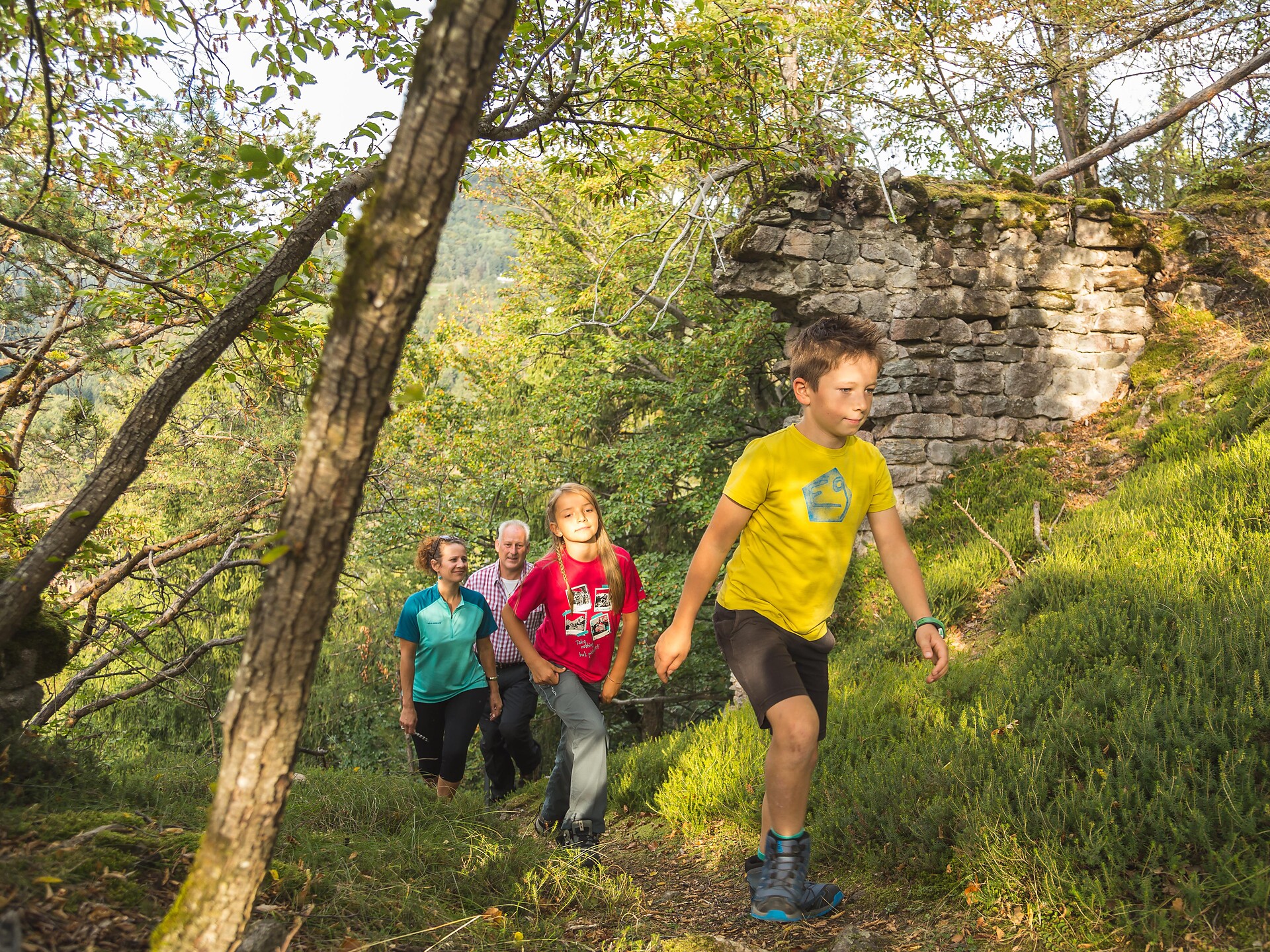 Wanderung zur Kastanienblüte - Bozen und Umgebung - #1 - suedtirol.info