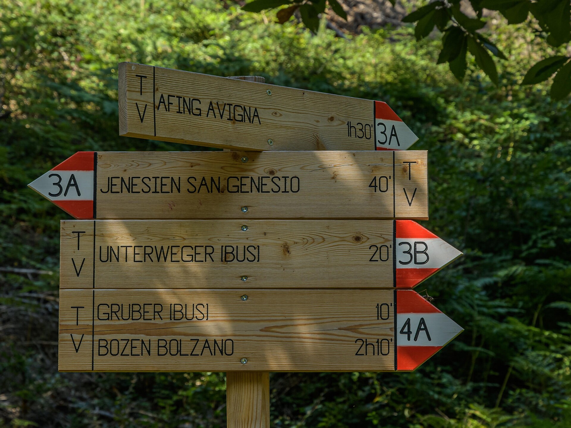 Wanderung zur Kastanienblüte - Bozen und Umgebung - #2 - suedtirol.info