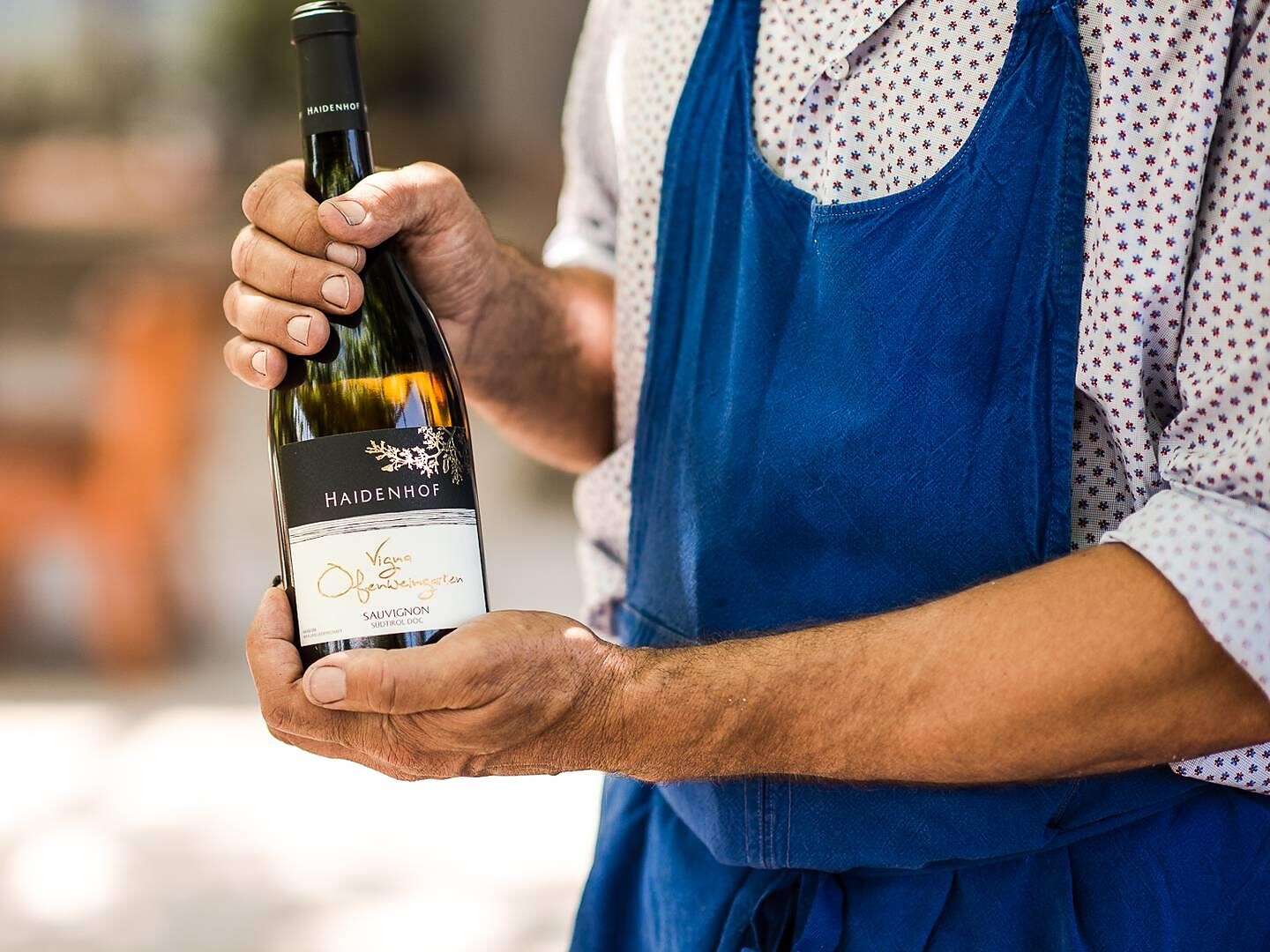 Wine tasting and visit to the winery Haidenhof Tscherms/Cermes 1 suedtirol.info