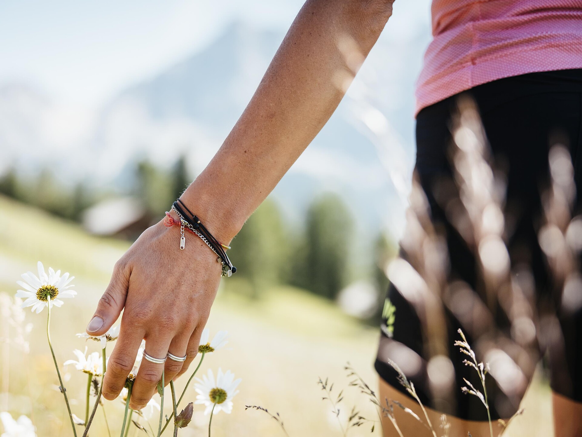 Escursione tra le erbe medicinali della flora alpina - Regione dolomitica Alta Badia - #2 - suedtirol.info