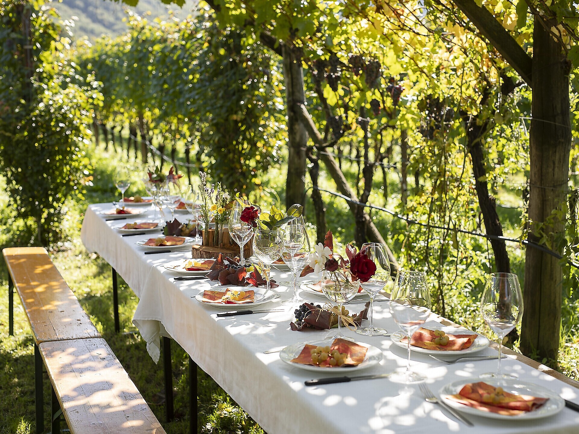WeinHerbst: Törggelewanderung zum Kalterer See mit Wein & Kulinarik - Südtiroler Weinstraße - #1 - suedtirol.info