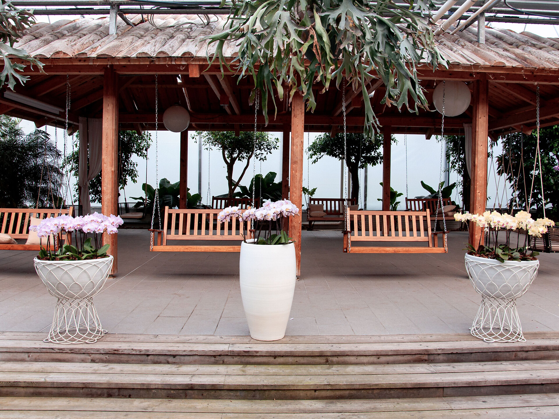 Workshop "conoscere Le orchidee" - Merano e dintorni - #2 - suedtirol.info