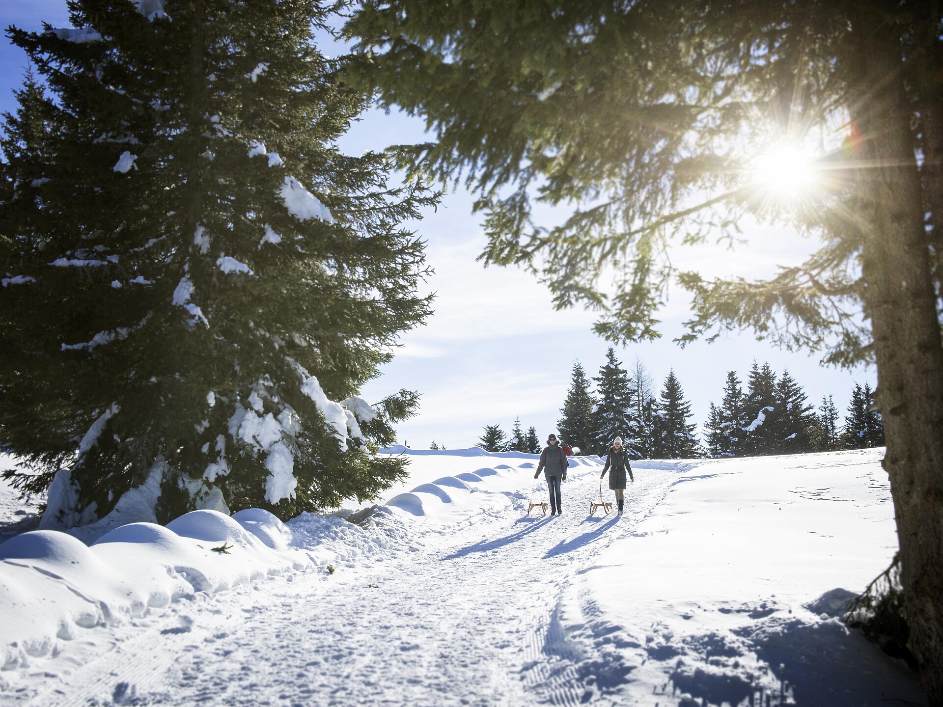 Winterwanderung im Hirzergebiet: Hochwies- Gompm Alm - Grube - Oberkirn - Meran und Umgebung - #2 - suedtirol.info