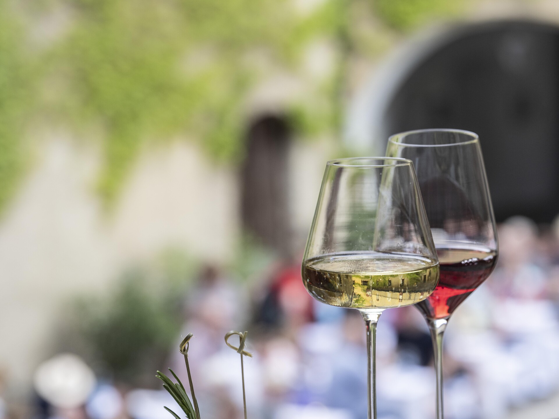 Wein & Kultur im Schloss Schenna Schenna 1 suedtirol.info