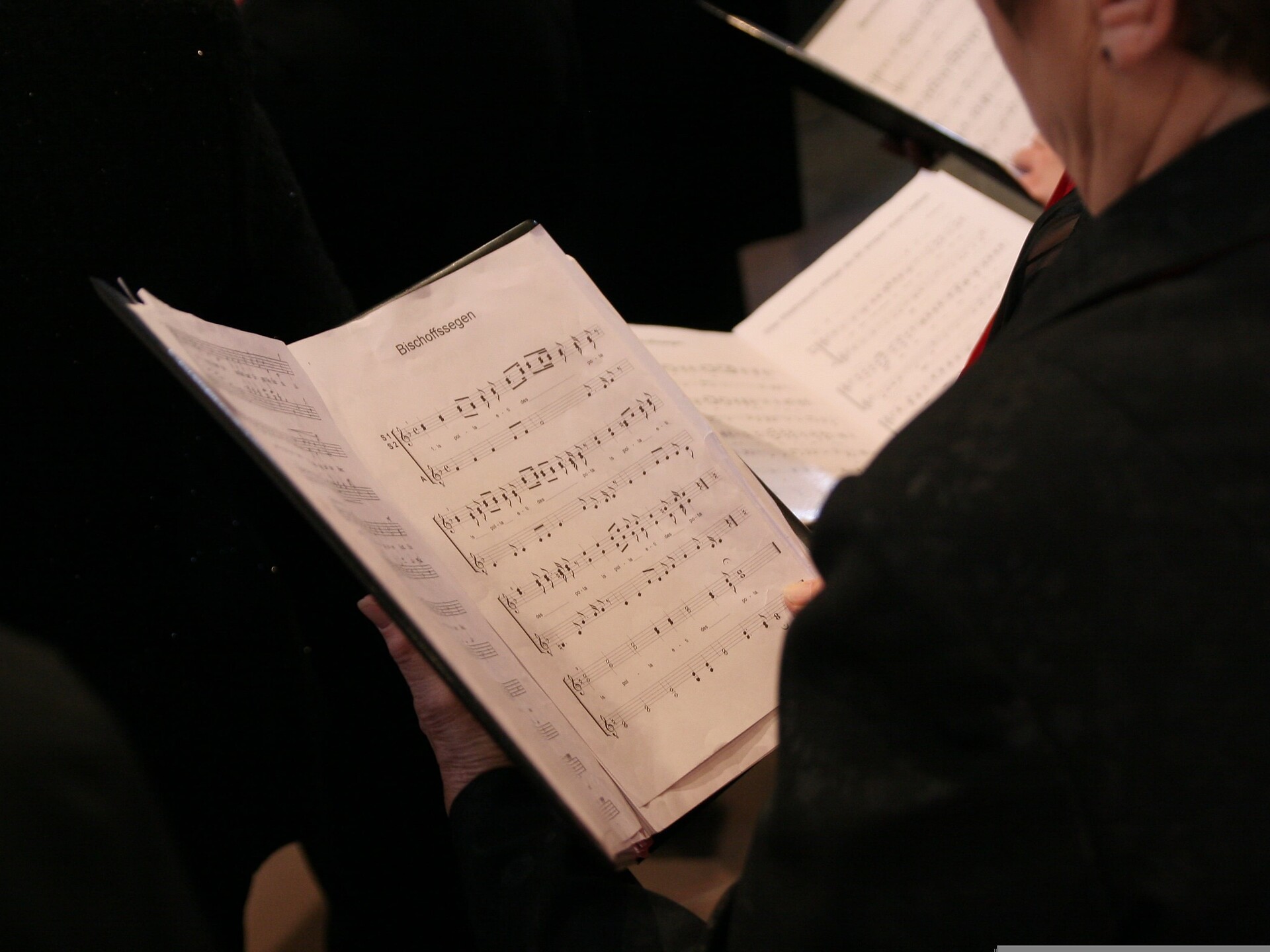 Weihnachtskonzert der VocaLadies - Dolomitenregion Eggental - #1 - suedtirol.info