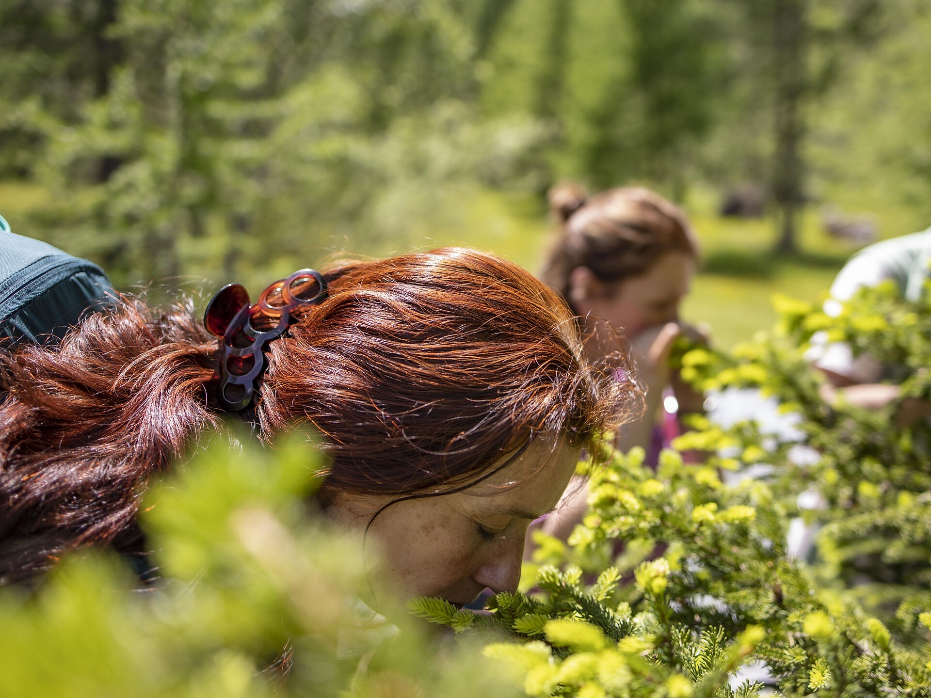 Bagno nel bosco – Camminare in modo consapevole nel bosco alpino - Val Venosta - #1 - suedtirol.info