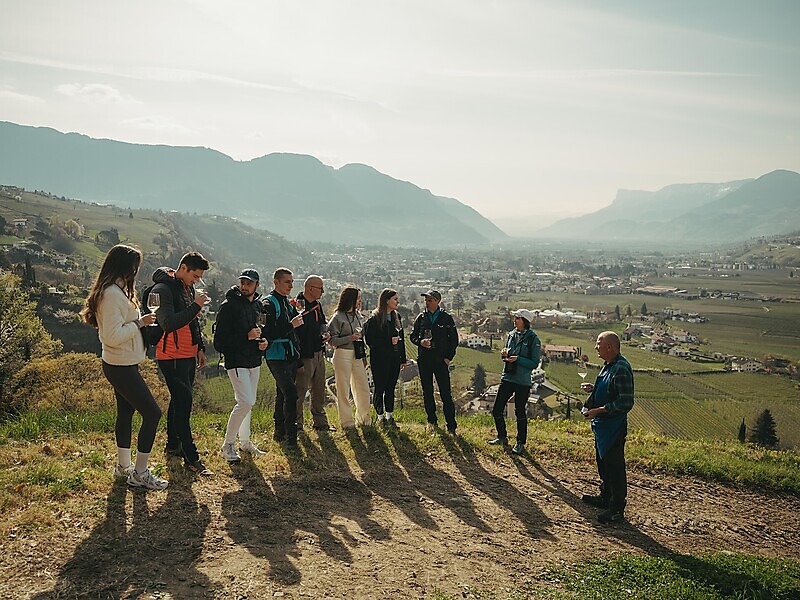 Weinbergführung mit Verkostung - Von der Rebe ins Glas - Vinschgau - #1 - suedtirol.info