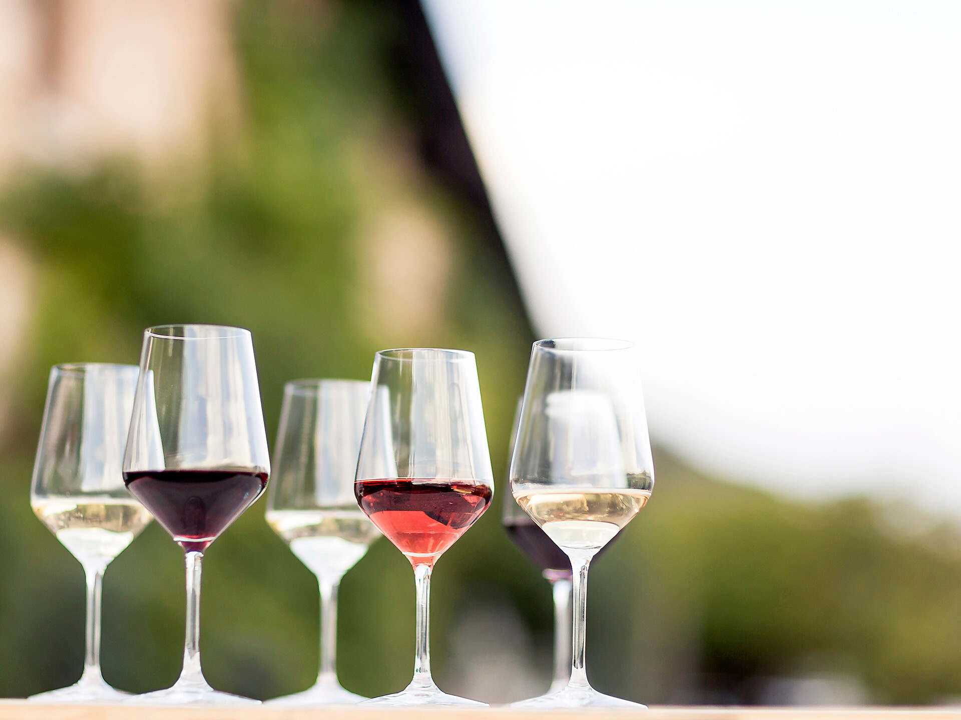 Wine Date at the winery Gump Hof - Dolomites Region Seiser Alm - #1 - suedtirol.info