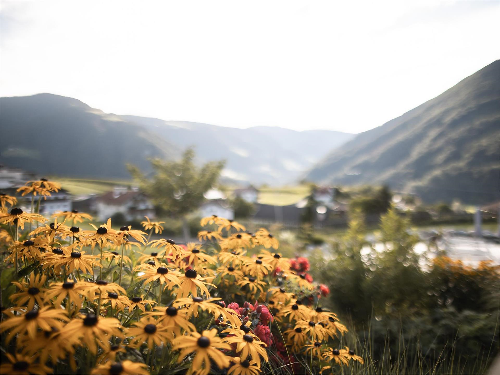 Wild herbs, witchcraft & more - Brixen/Bressanone and environs - #3 - suedtirol.info