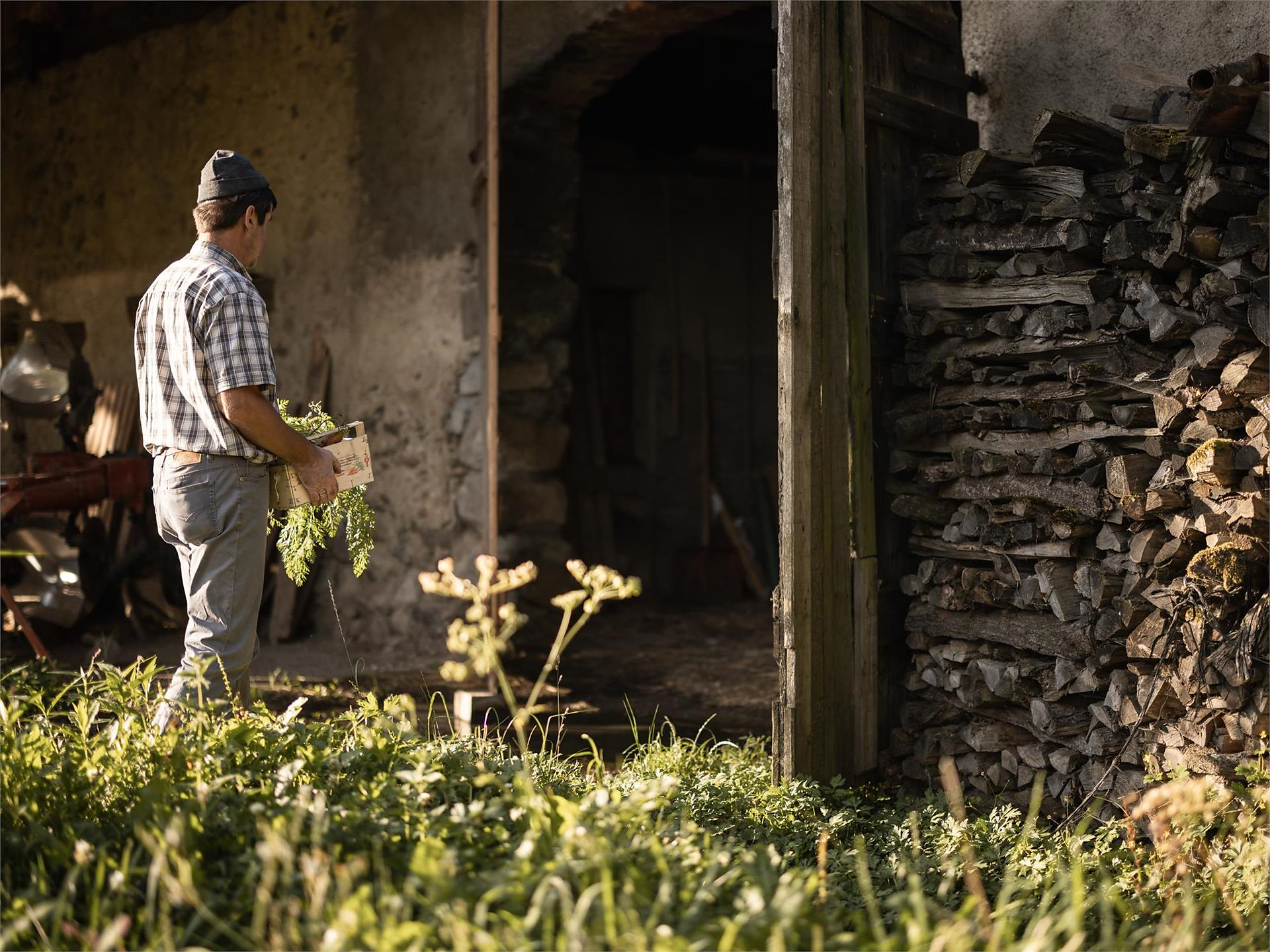 Wild herbs, witchcraft & more - Brixen/Bressanone and environs - #1 - suedtirol.info