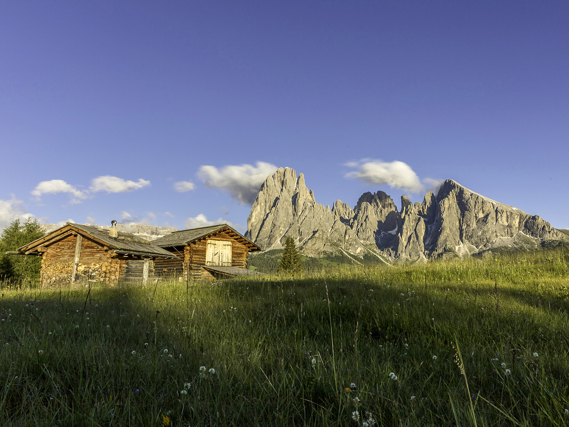 Wanderung auf dem Hochplateau Seiser Alm mit der Alpinschule Catores - Dolomitenregion Gröden - #1 - suedtirol.info