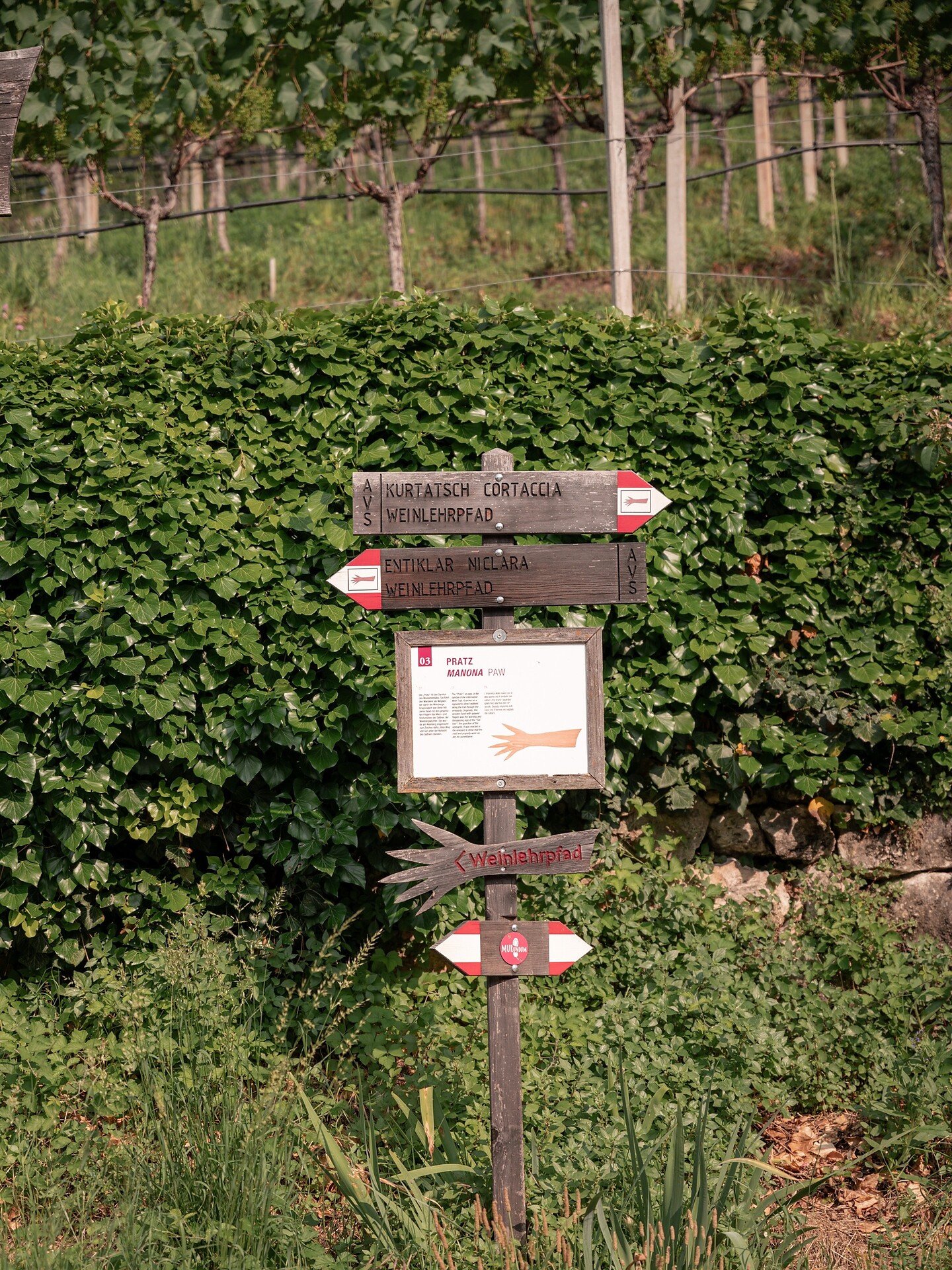 Weinsinneswanderung über den Kurtatscher Weinlehrpfad - Südtiroler Weinstraße - #5 - suedtirol.info