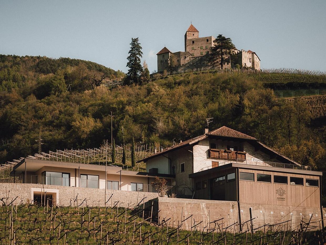 Degustazione vini nella Tenuta Pitzner - Regione dolomitica Val d'Ega - #1 - suedtirol.info