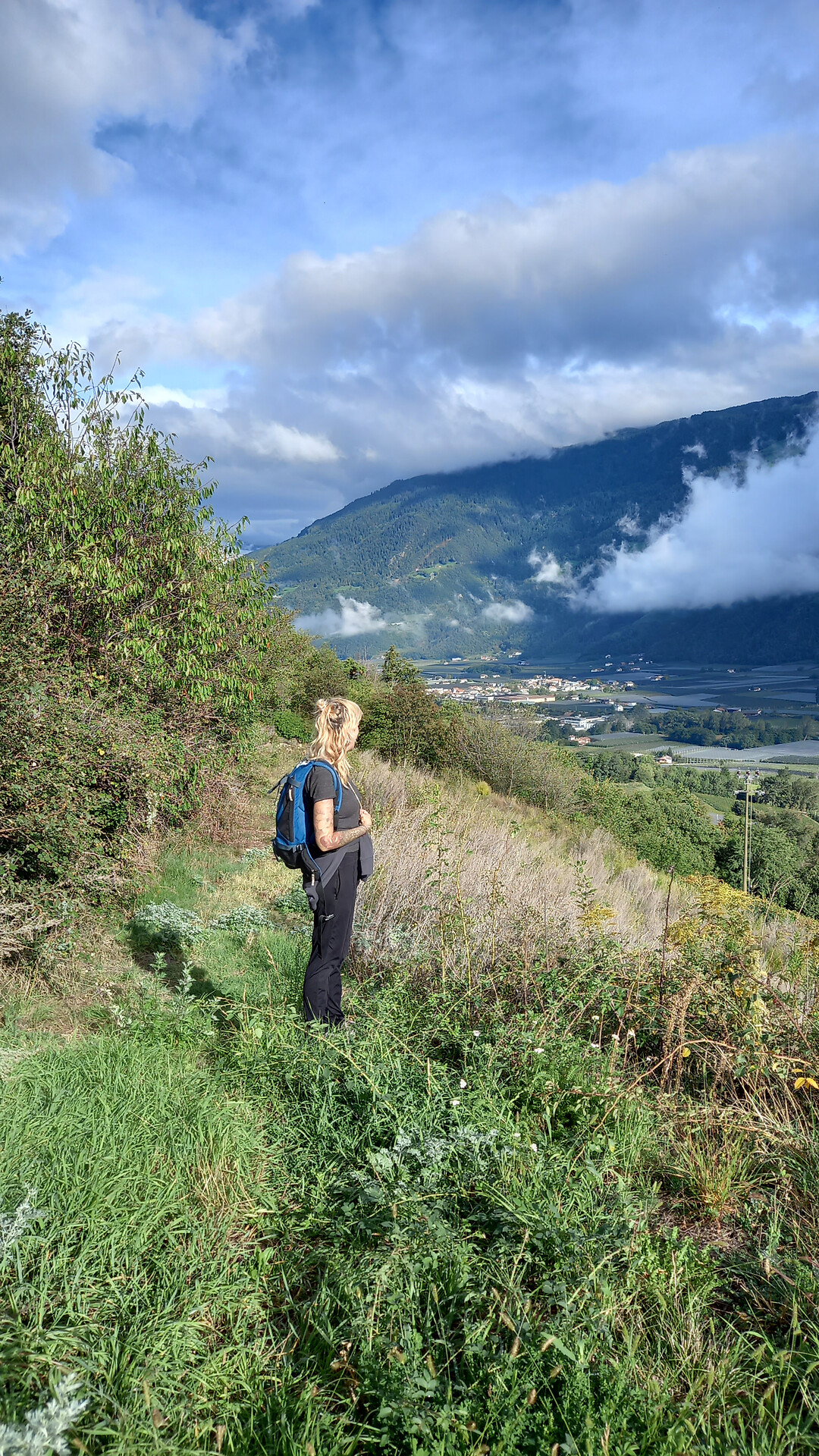 Where wines grow and herbs heal - Meran/Merano and environs - #1 - suedtirol.info