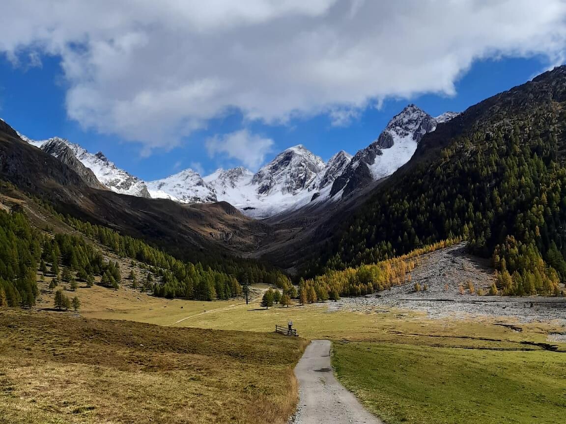 Escursione guidata dal Maso Gelato tramite il Passo Gelato a Plan Scena 2 suedtirol.info