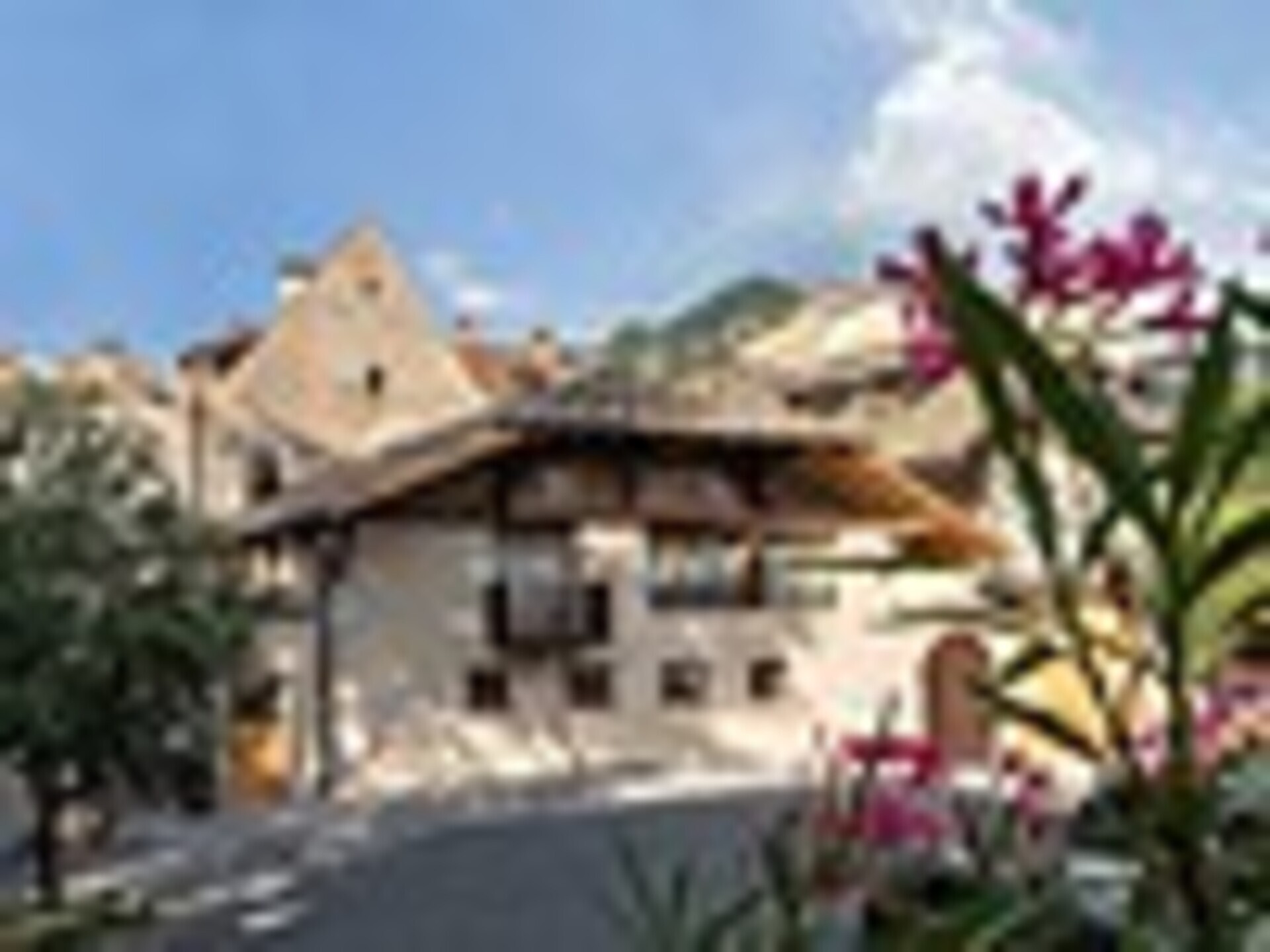 Weinkultur – vom Rebstock ins Glas - Bozen und Umgebung - #1 - suedtirol.info