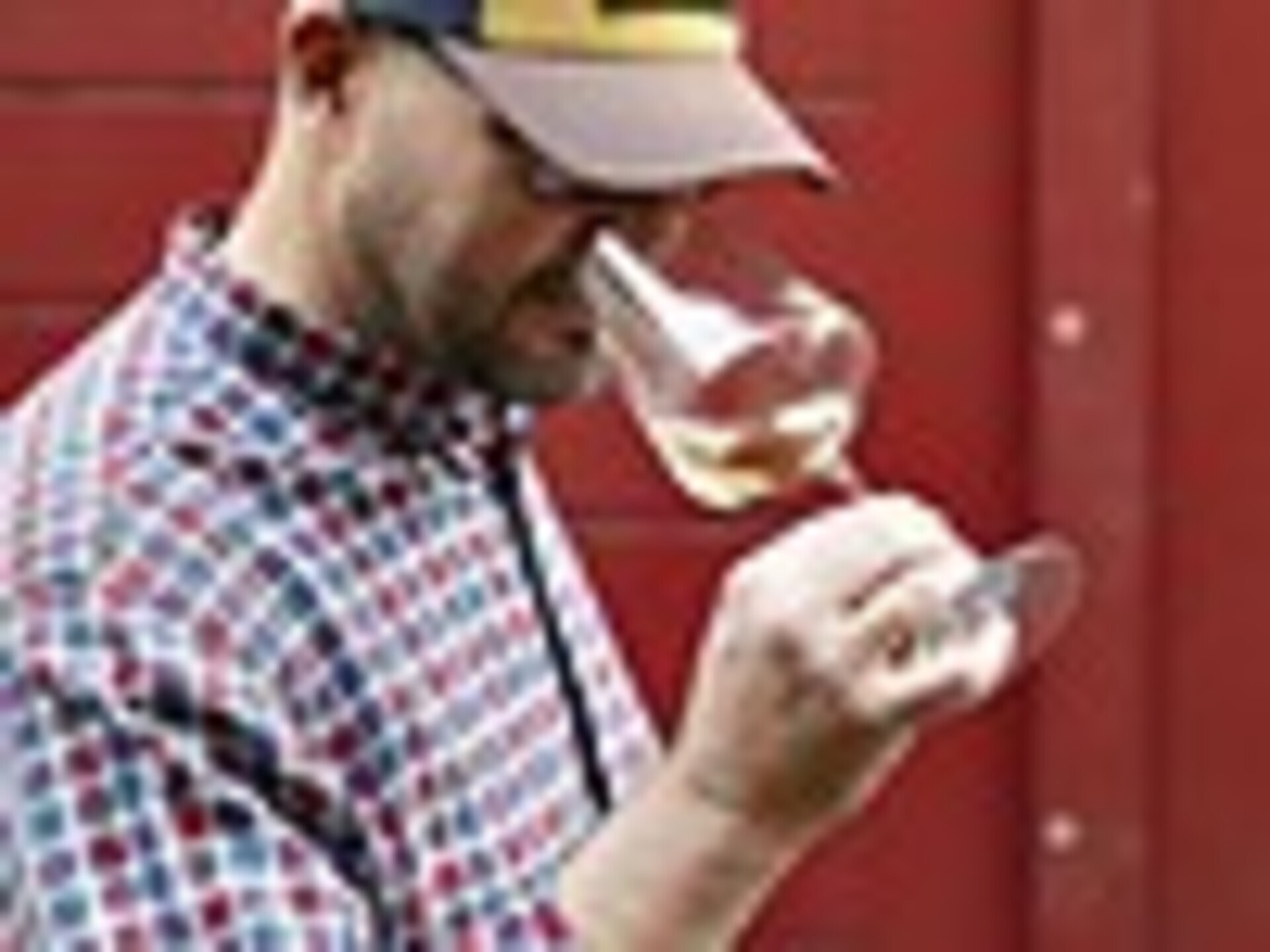 Weinkultur – vom Rebstock ins Glas - Bozen und Umgebung - #3 - suedtirol.info