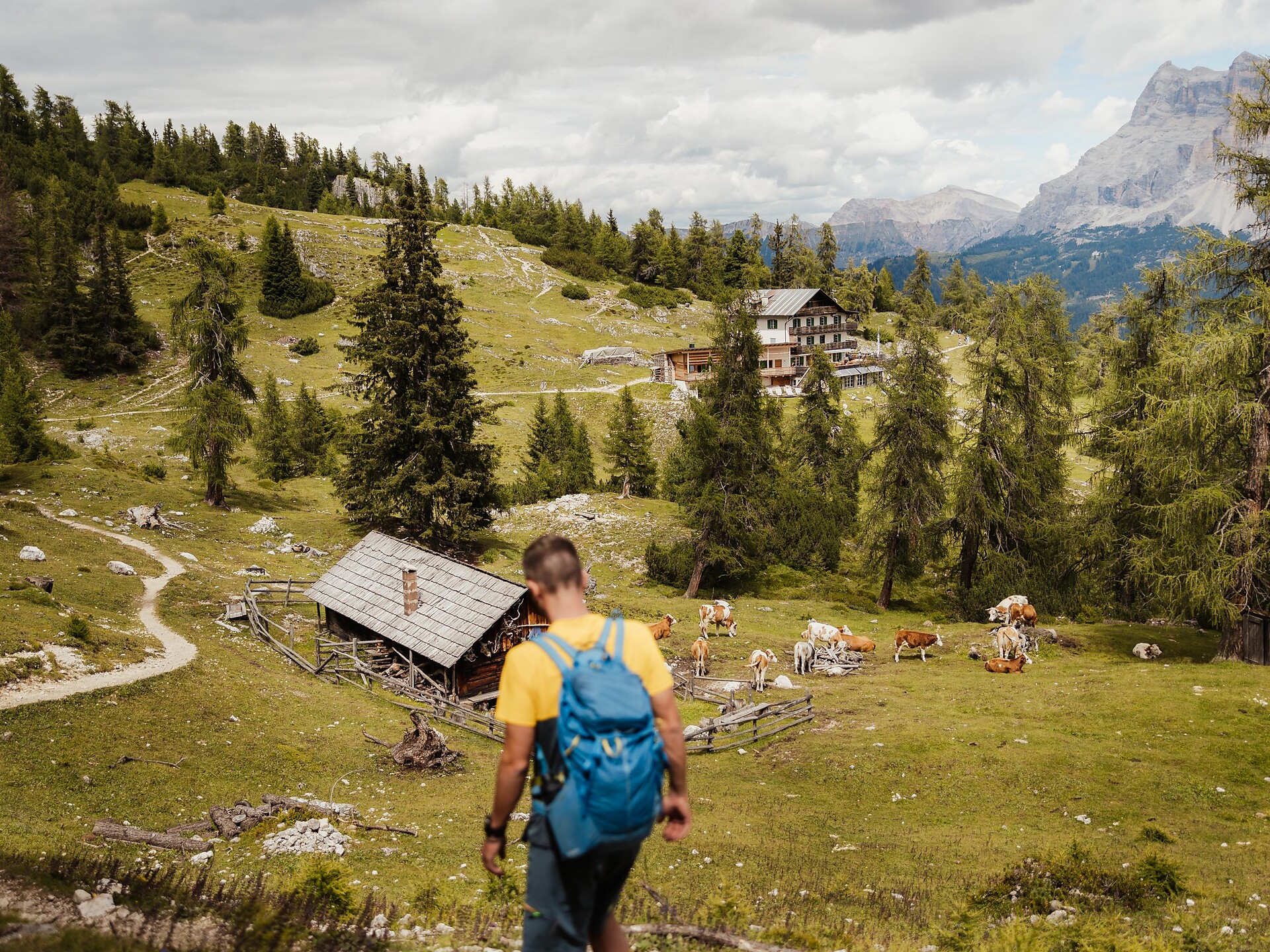 Wanderung zum Gipfel Para dai Giai im Naturpark Puez-Geisler - Dolomitenregion Alta Badia - #3 - suedtirol.info